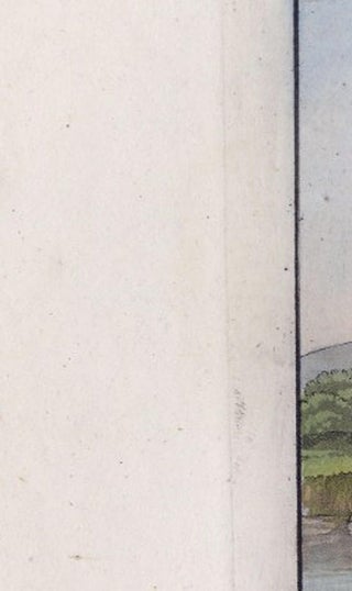 Chinese Farmer with Water Buffalo, Agricultural Scene, Ferrario Print of 1815, view 7