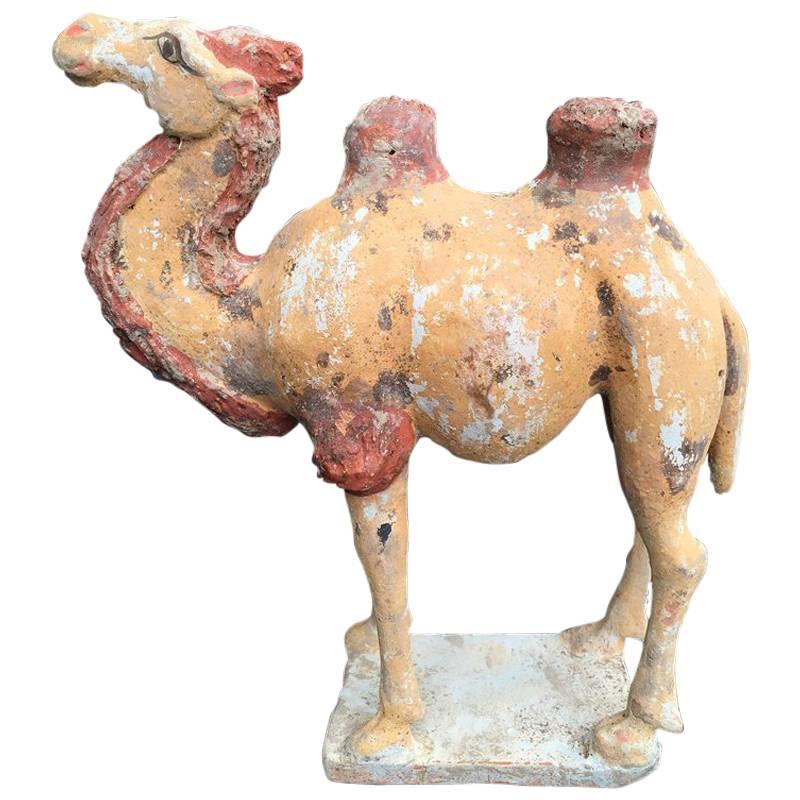 Chinese Figure of a Camel TL For Sale