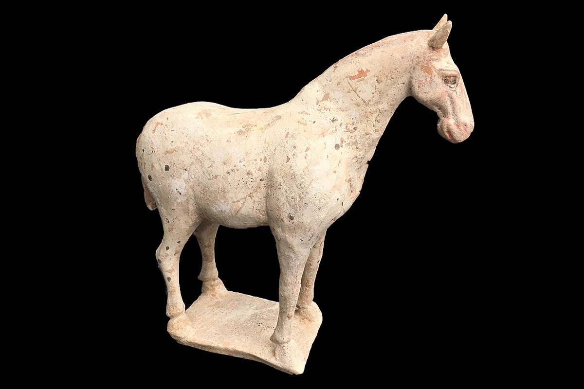 The object comes with a TL-Laboratory test.

The horse - the ancient Chinese symbol of Wealth and Success - stays proudly in foursquare. It is in excellent stage of preservation. Virtually all its original polychrome painting in beige-white,