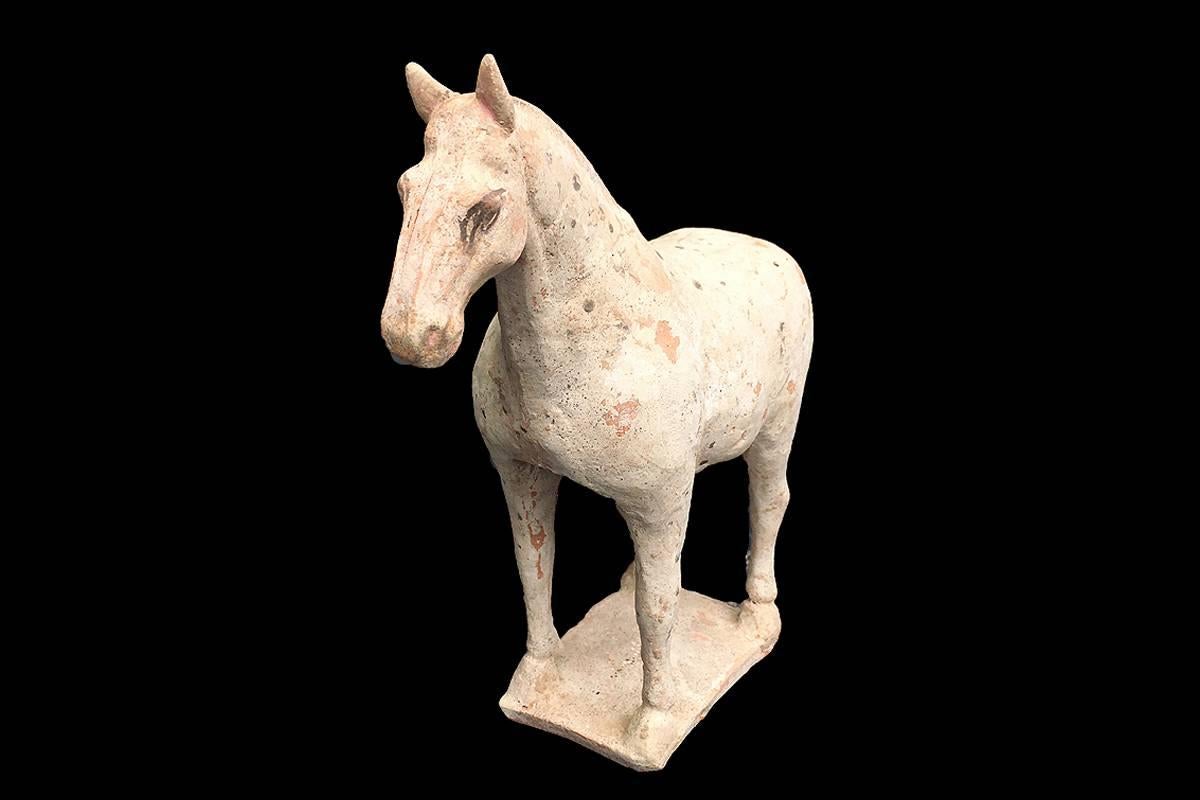 Tang Chinese Figure of a Horse TL For Sale