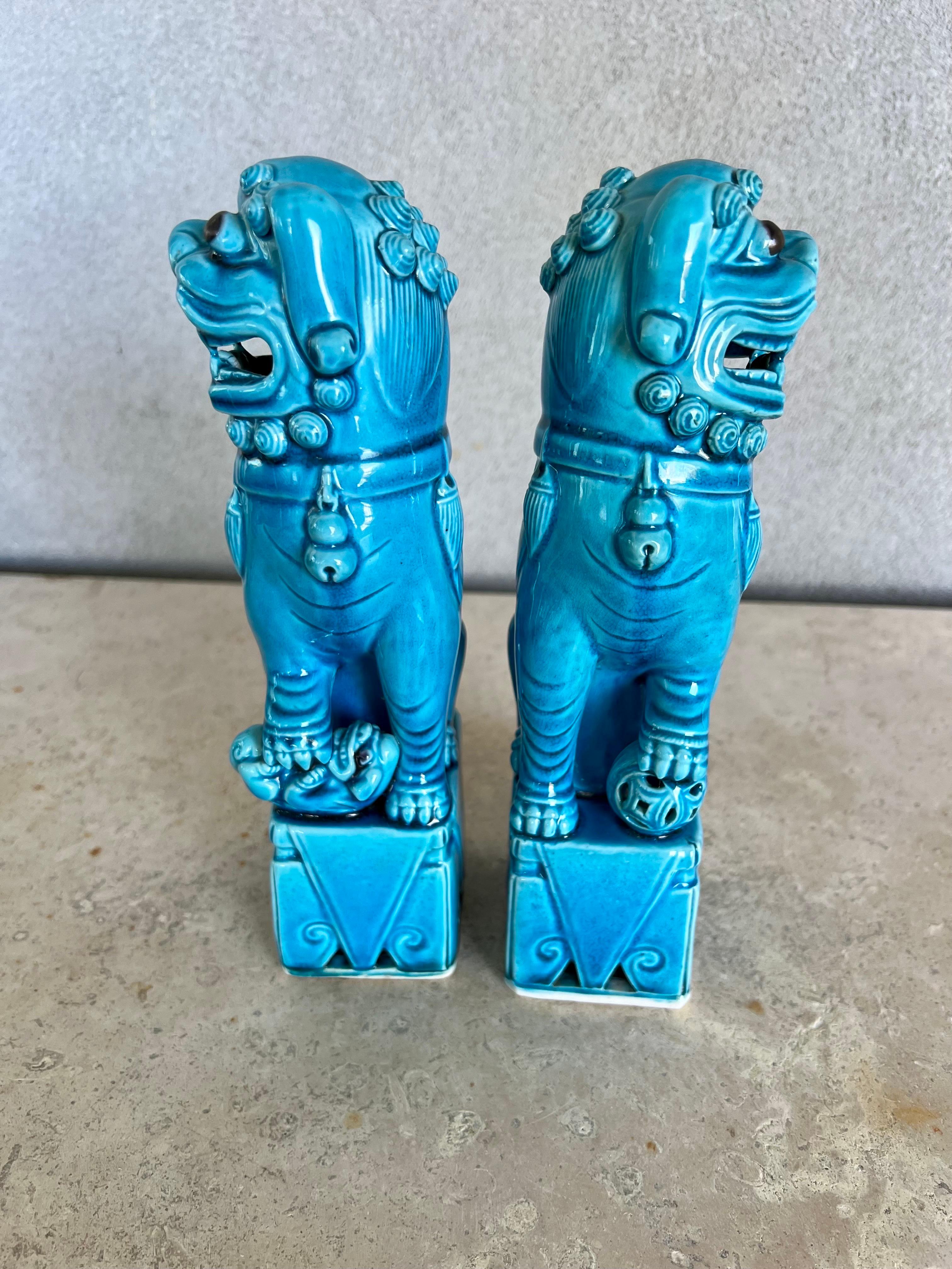Glazed Chinese Foo Dog statues in turquoise glaze