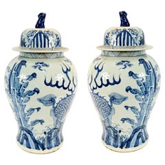 Chinese Ginger Jars Blue and White Porcelain Urns Nanking Vases