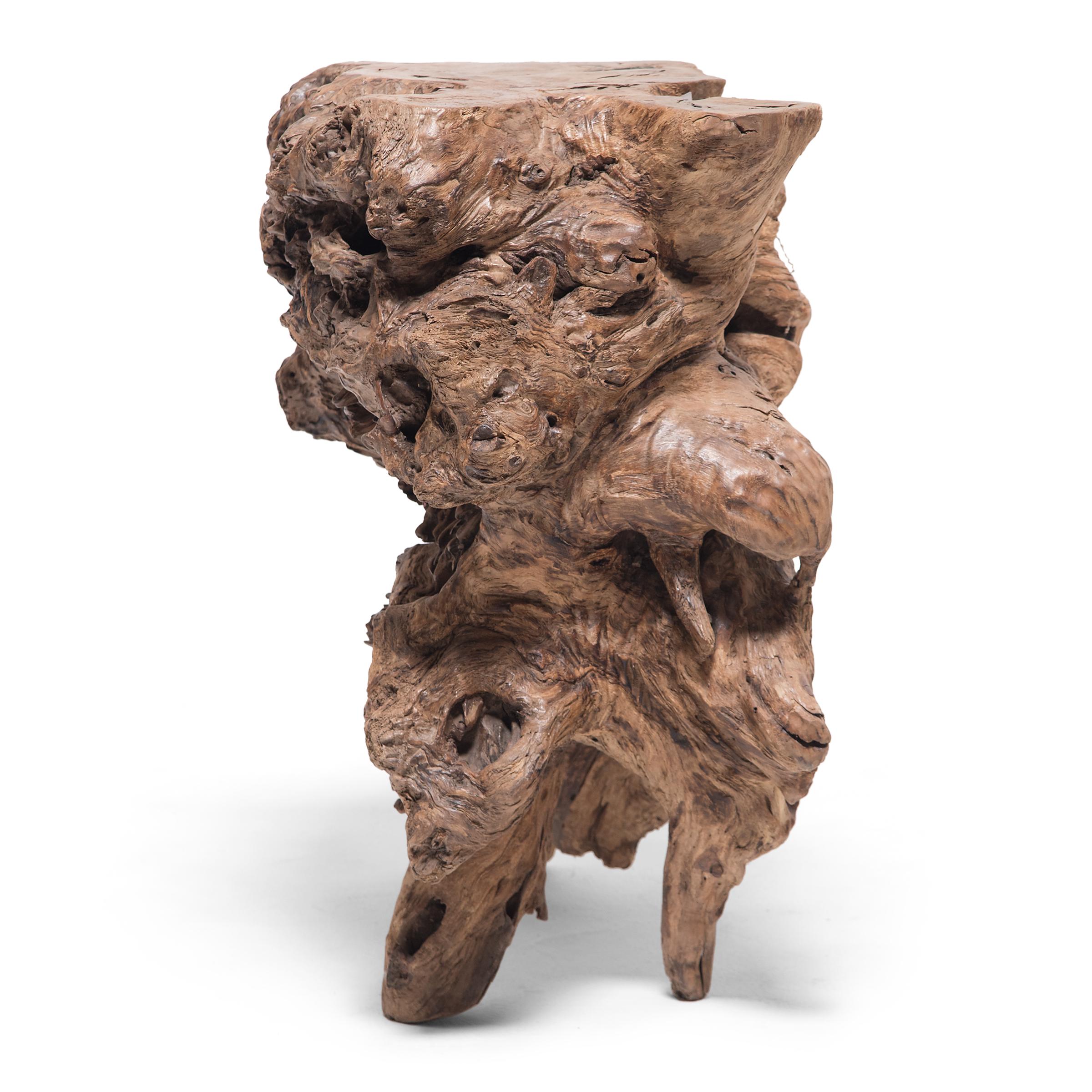 This unusual display table is formed from the spectacular, gnarled roots of a Chinese cypress tree (baimu). The table dates to the late-Qing dynasty, an era in which an elite class of artists and literati cultivated a taste for nature's