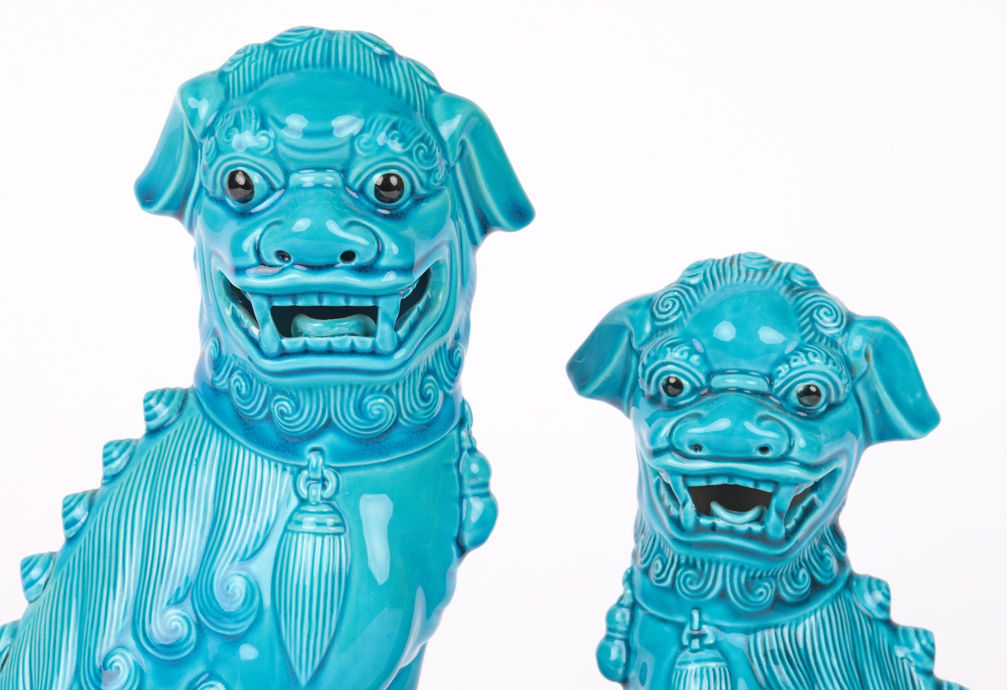 Ein sehr schönes und attraktives Paar abgestufter chinesischer türkis glasierter Hundefiguren aus der ersten Hälfte des 20. Jahrhunderts. Die hohlen Figuren aus Biskuitporzellan stehen erhöht auf einem rechteckigen Sockel und blicken mit geöffneten
