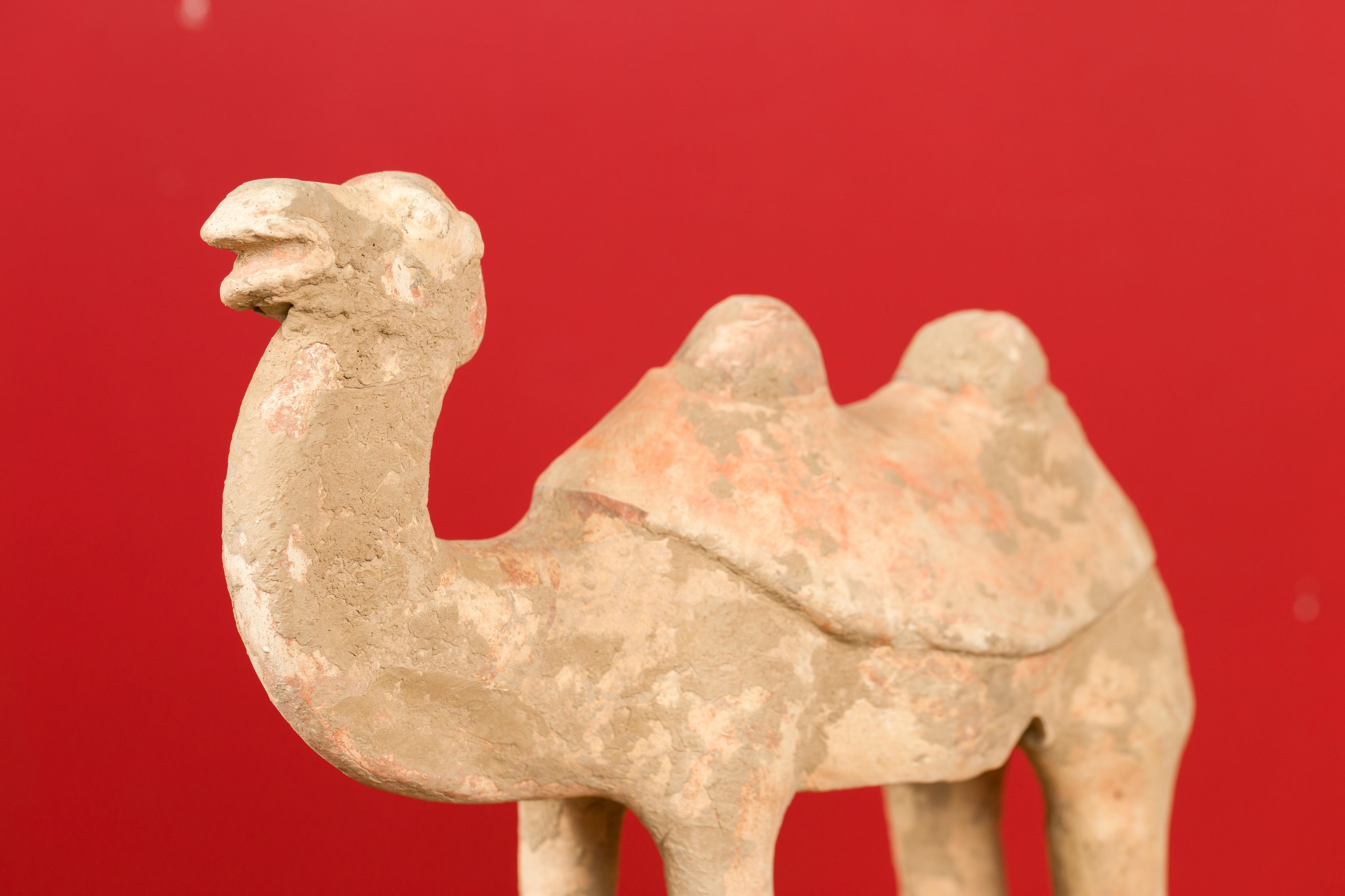 Chinese Han Dynasty 202 BC-200 AD Mingqi Camel with Original Orange Paint 3