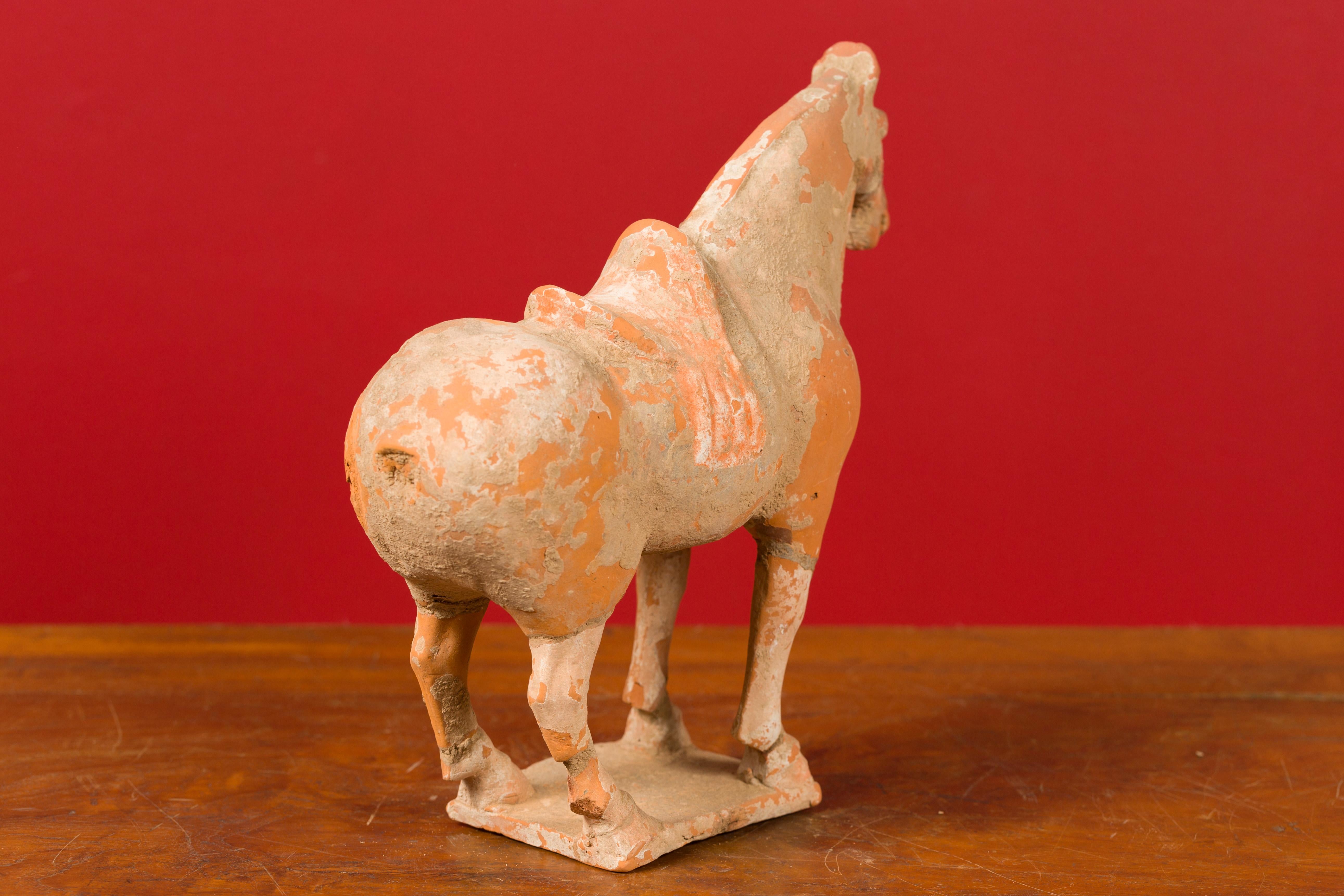 Chinese Han Dynasty Period Mingqi Terracotta Horse with Original Pigmentation 5