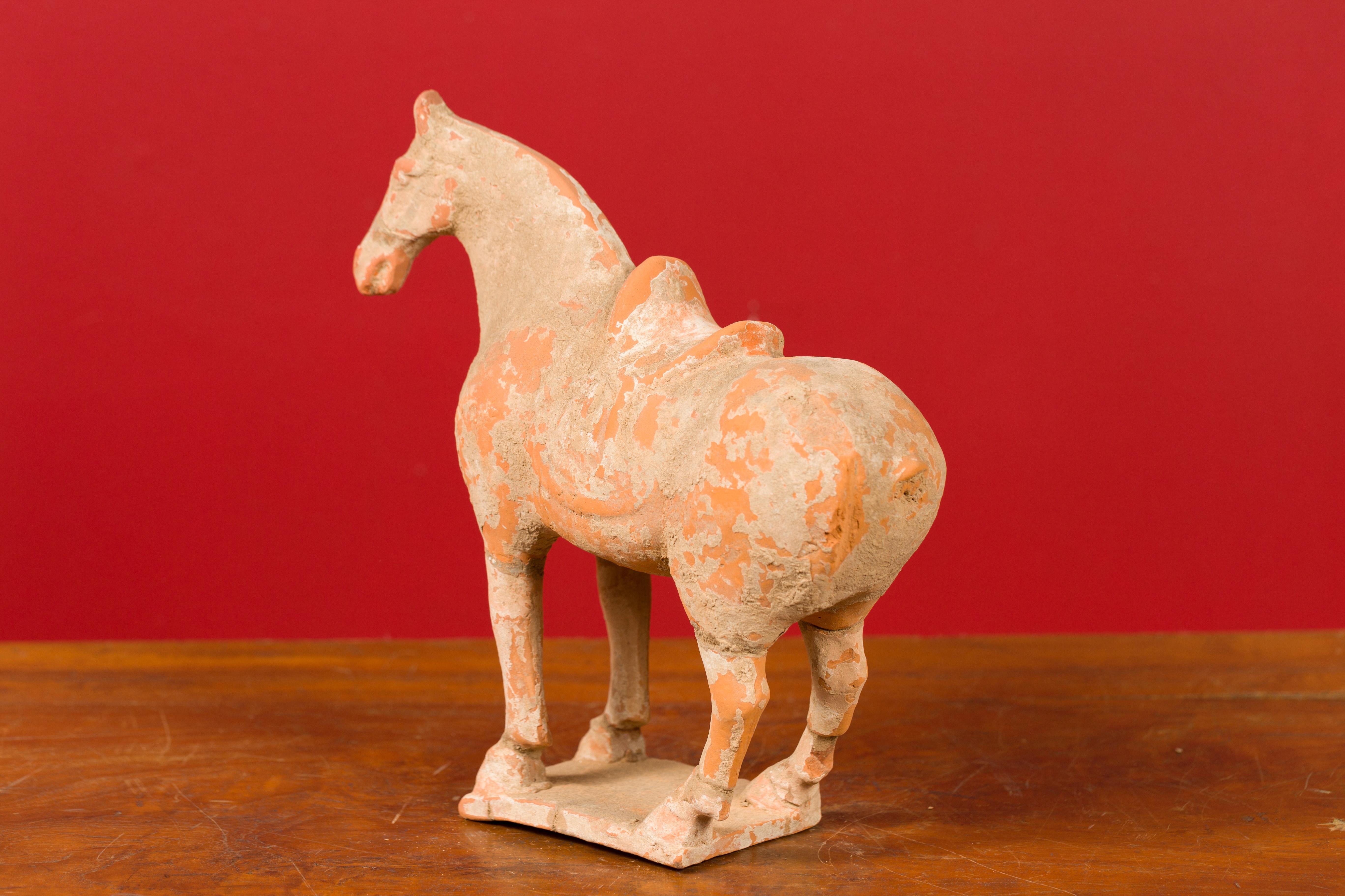 Chinese Han Dynasty Period Mingqi Terracotta Horse with Original Pigmentation 6