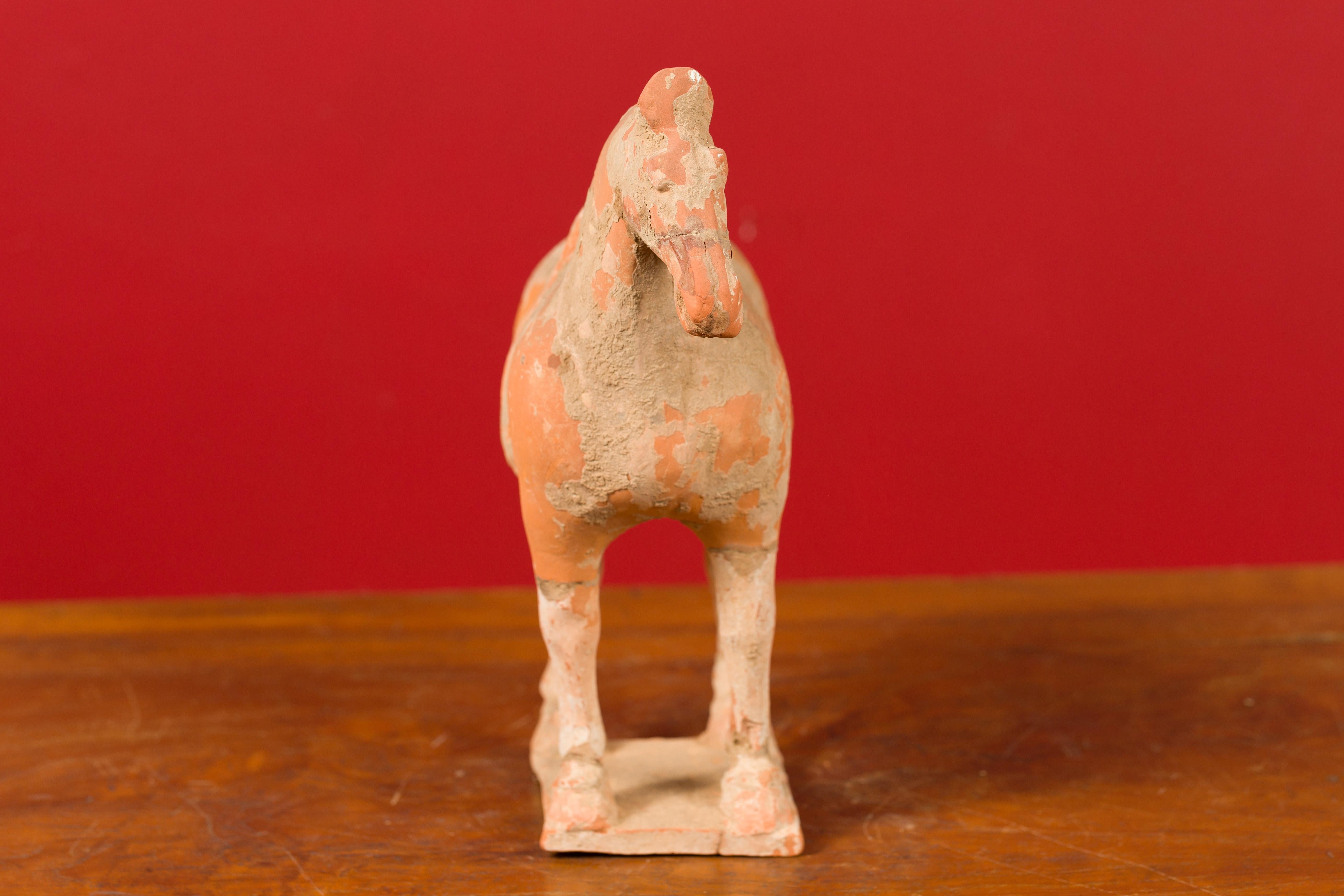 Chinese Han Dynasty Period Mingqi Terracotta Horse with Original Pigmentation 2