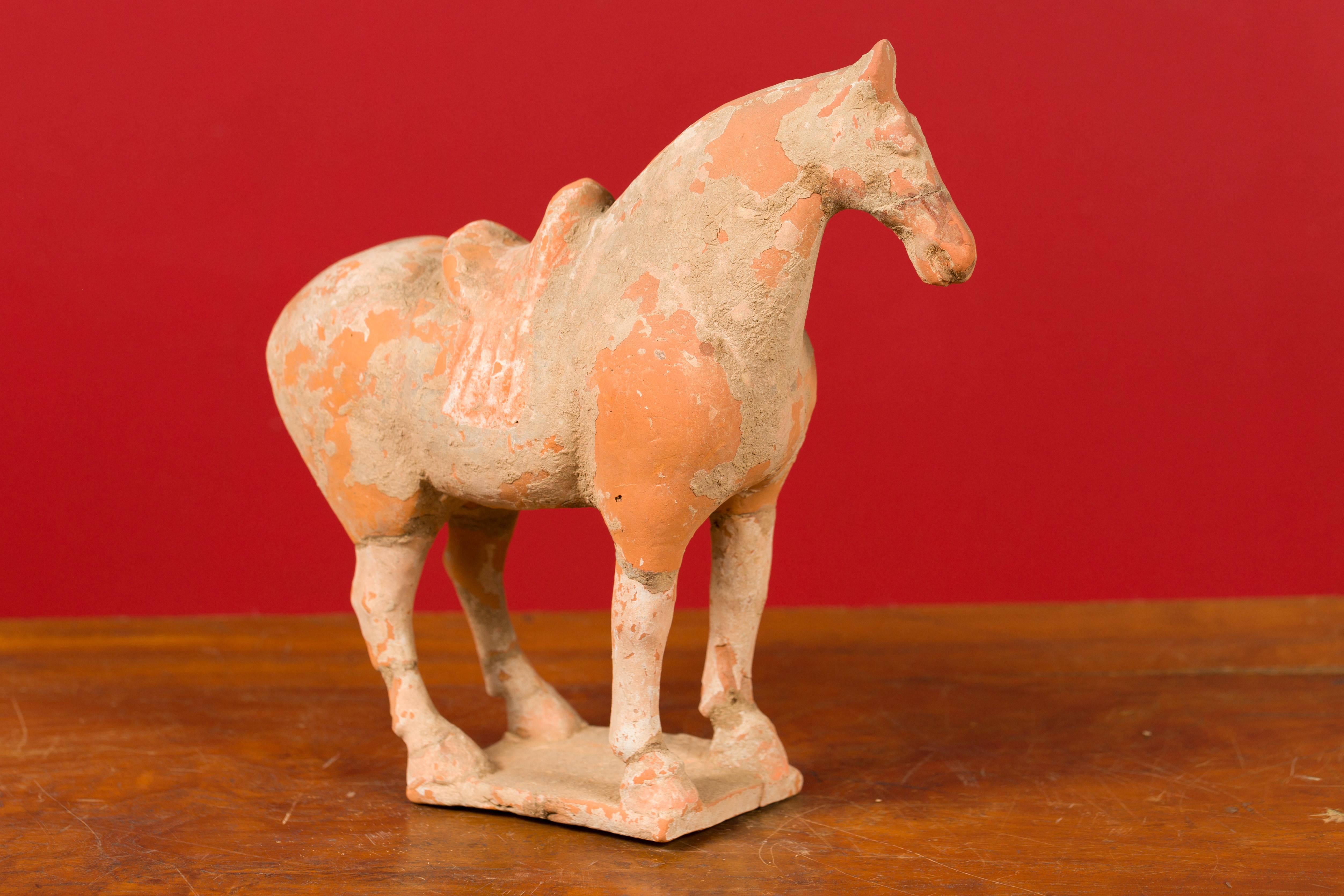 Chinese Han Dynasty Period Mingqi Terracotta Horse with Original Pigmentation 3