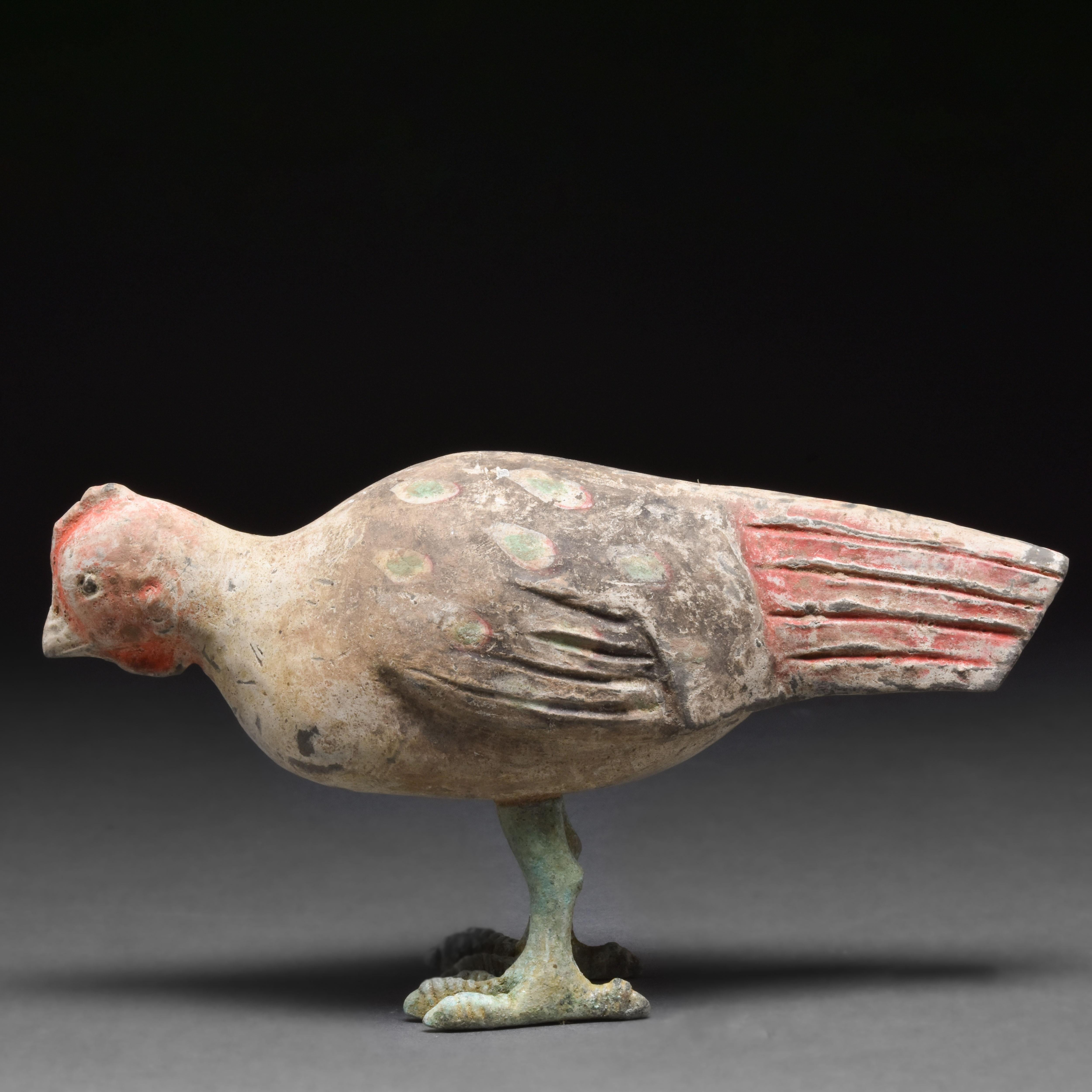 A beautiful terracotta bird that stands on a pair of well-defined bronze legs with large, splaying feet. These support a globular body and slender neck, stretched forwards. The remaining pigment suggests that the bird has a black body painted with