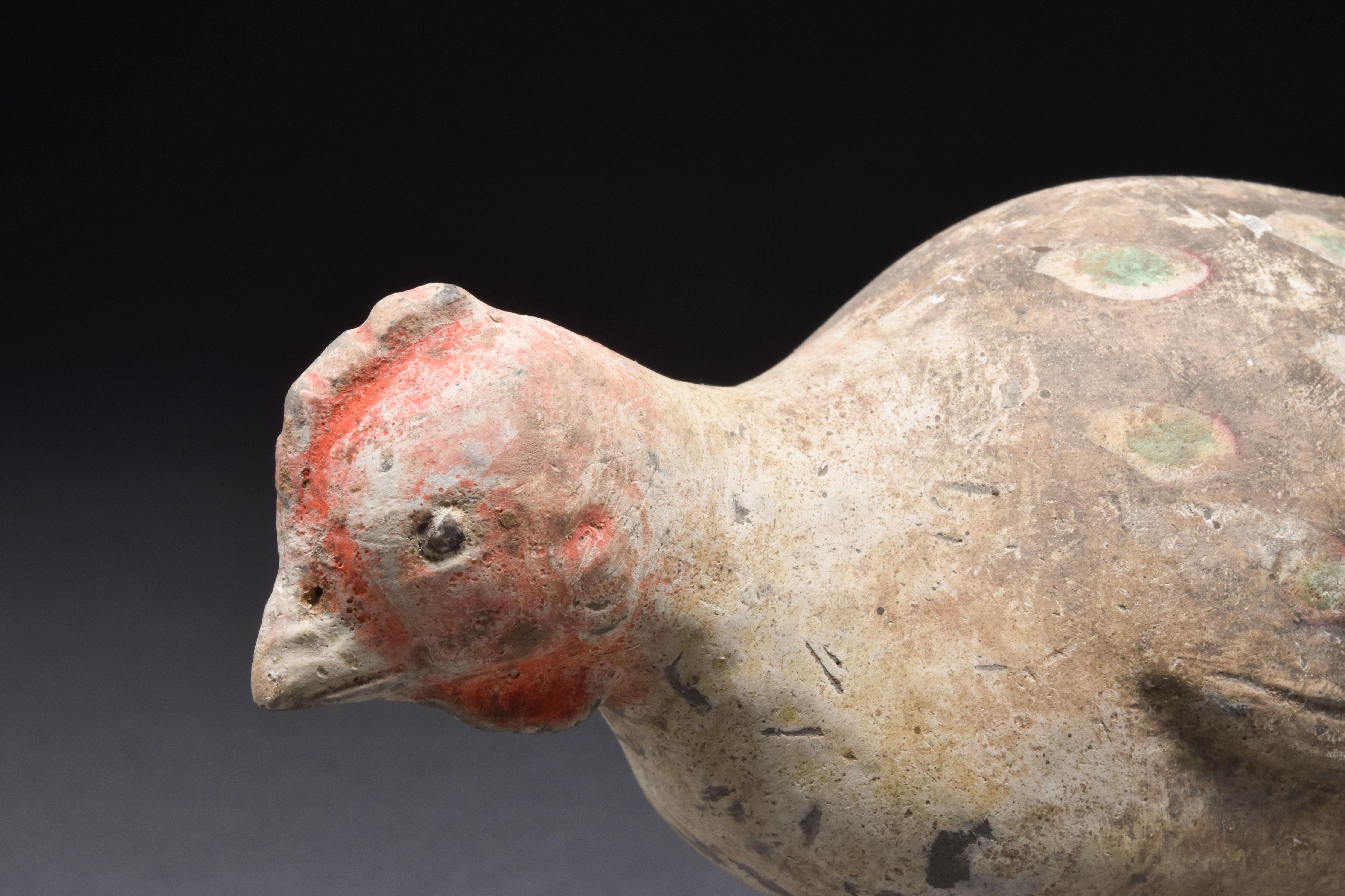 Chinese Han Dynasty Terracotta Bird - TL Tested In Good Condition For Sale In London, GB
