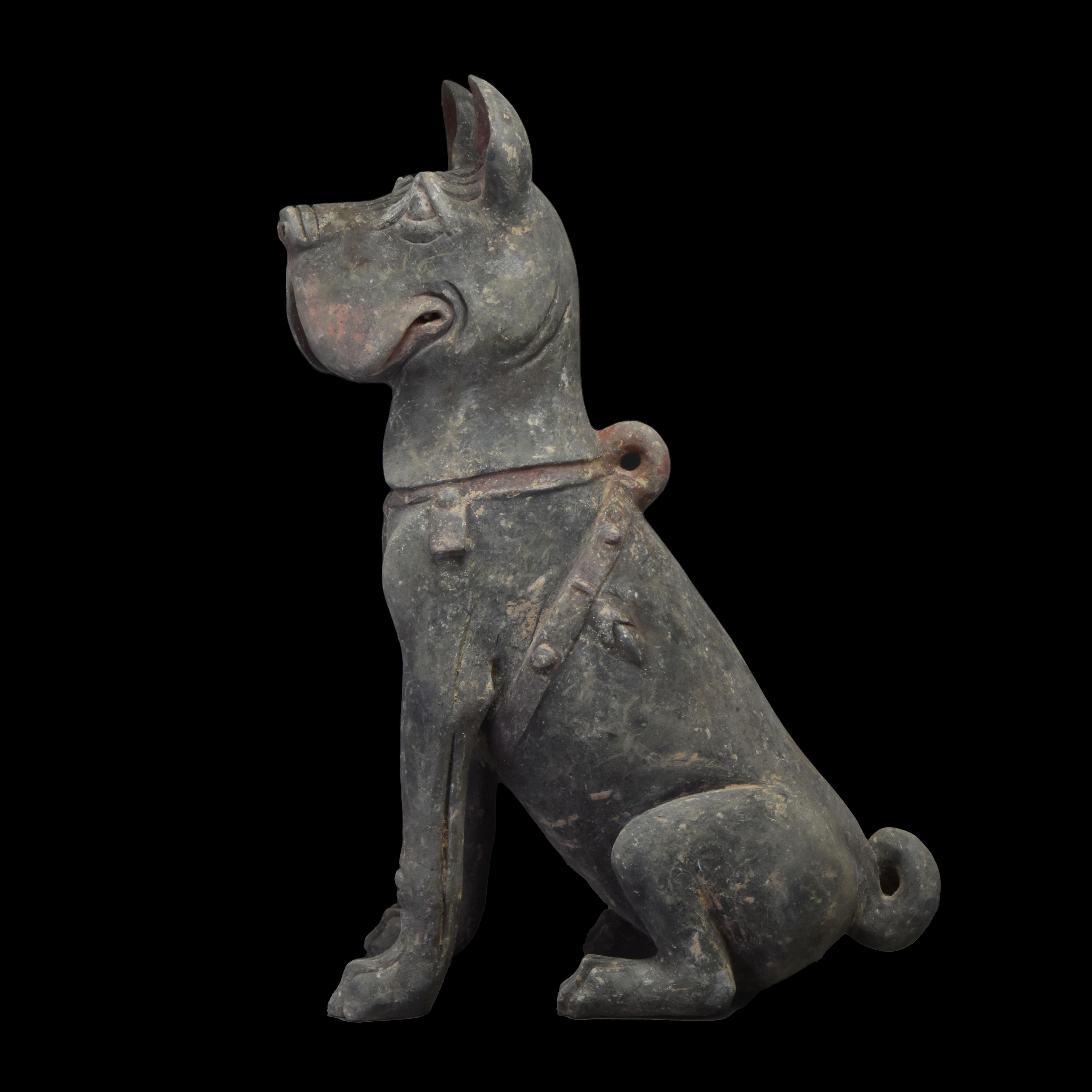 Ce magnifique modèle en terre cuite chinoise d'un chien shar pei assis, réalisé avec une habileté et un sens artistique remarquables, représente un chien shar pei assis, tourné vers l'avant, dont l'expression alerte est capturée par la tête relevée