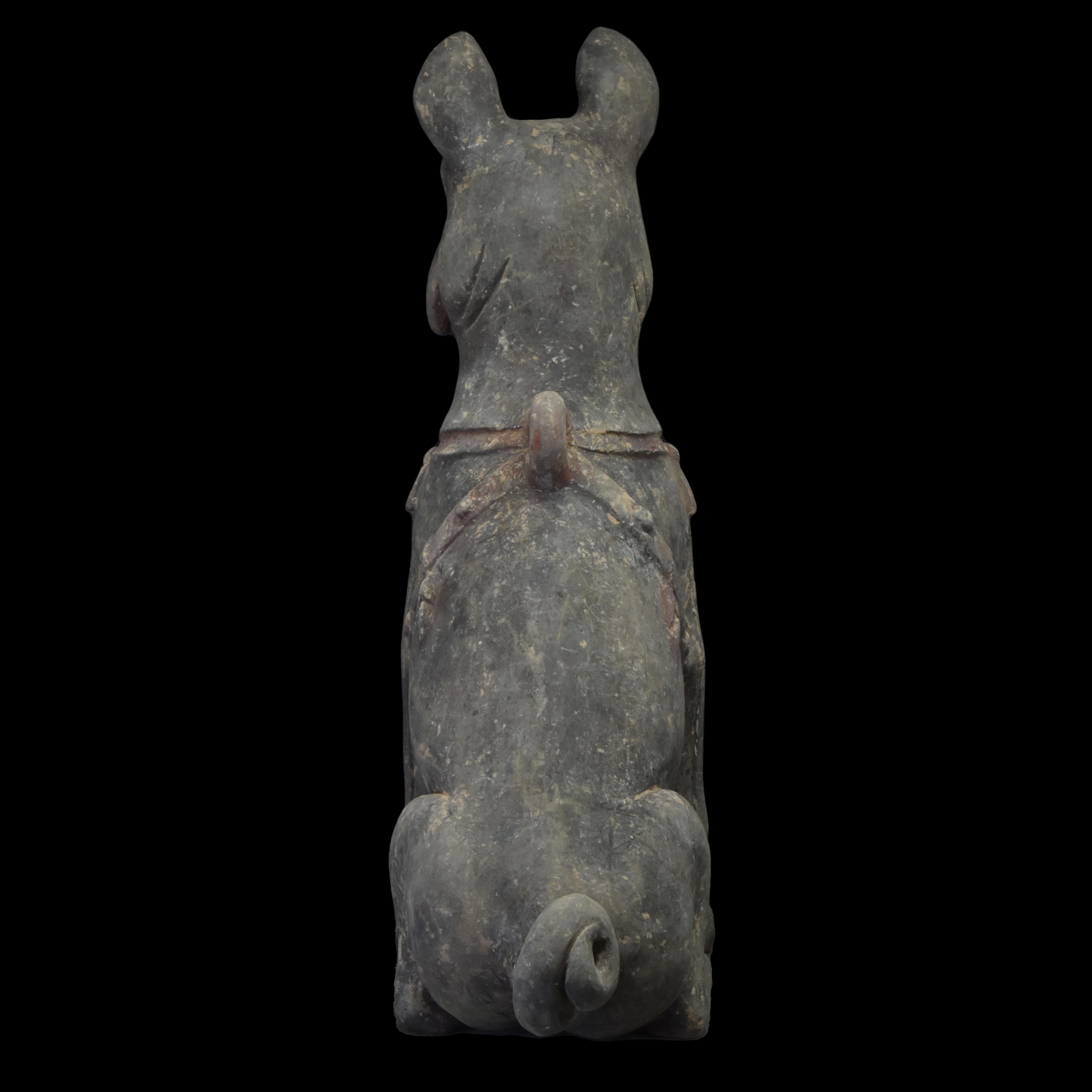 Figurine en terre cuite de la Dynasty Han chinoise représentant un chien Shar Pei - TL Tested Bon état - En vente à London, GB