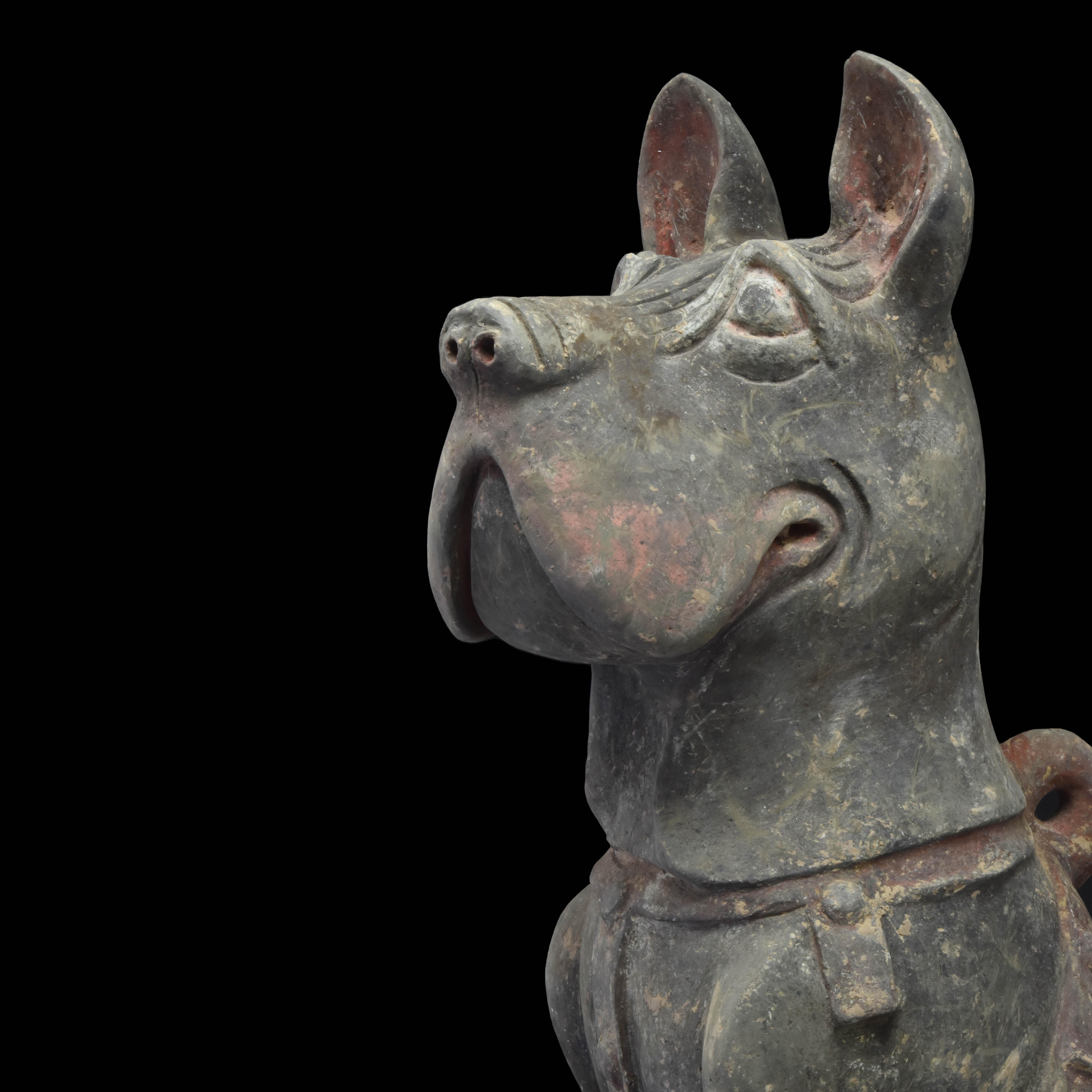 XVIIIe siècle et antérieur Figurine en terre cuite de la Dynasty Han chinoise représentant un chien Shar Pei - TL Tested en vente