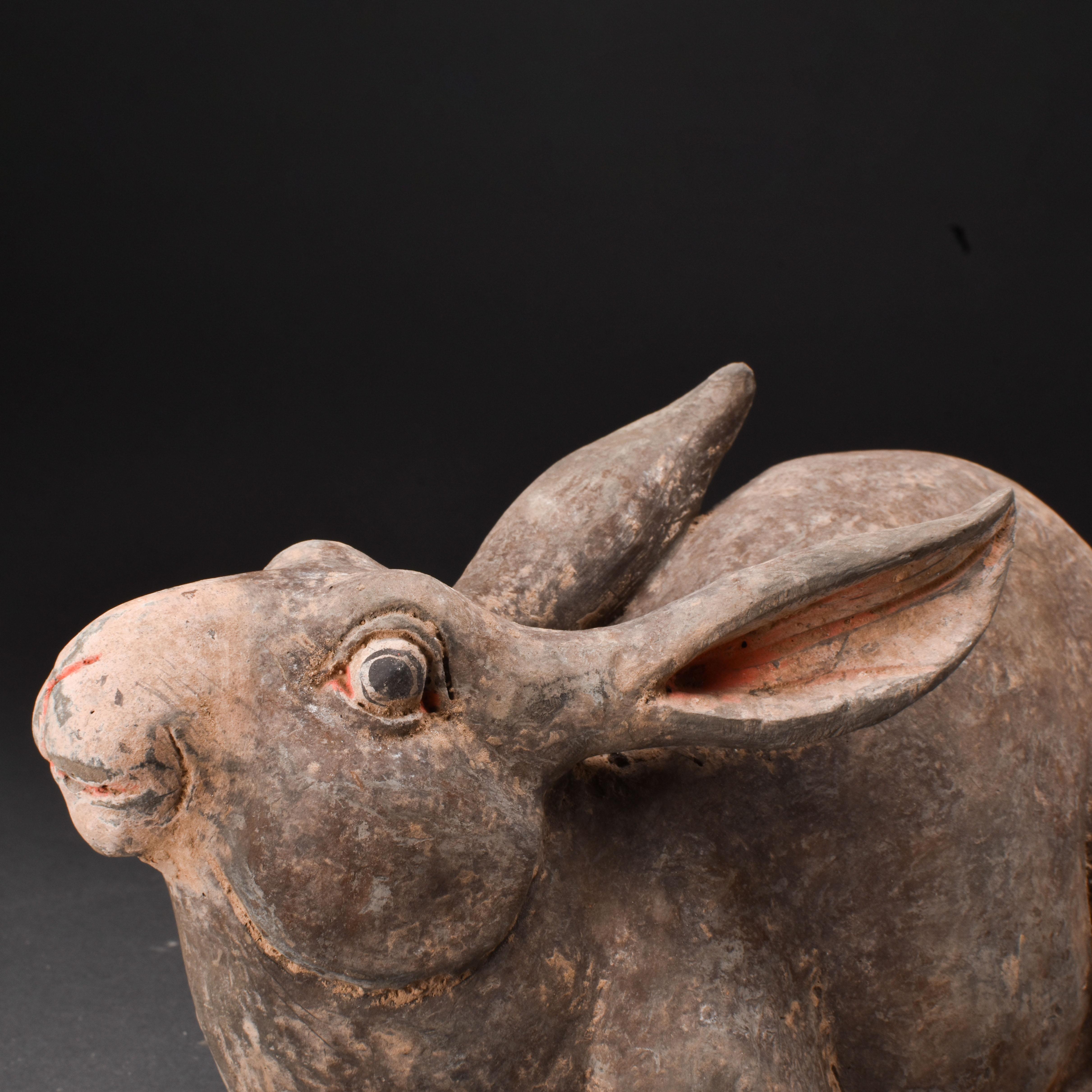 Chinese Han Dynasty Terracotta Rabbit - TL Tested In Good Condition For Sale In London, GB