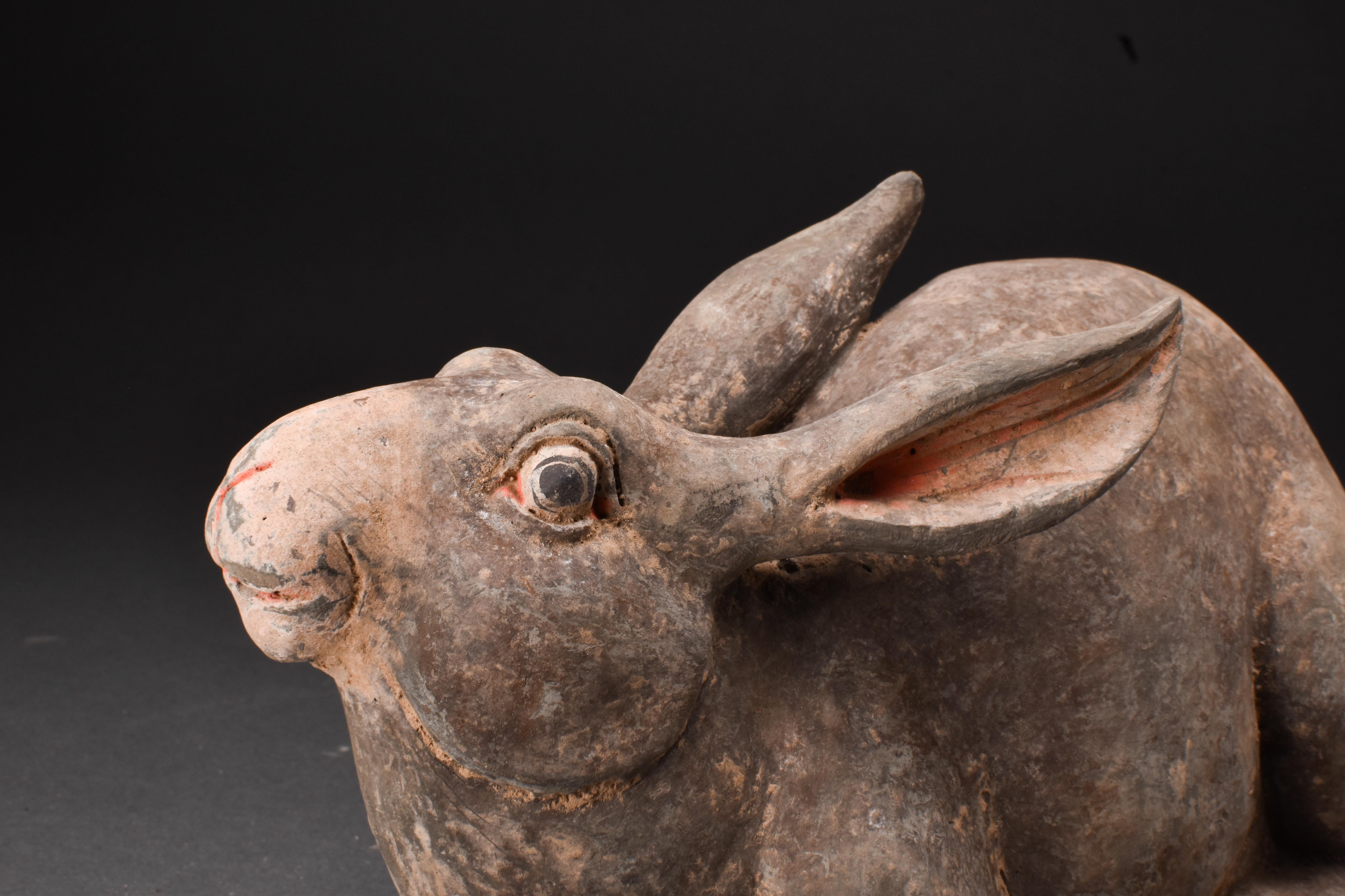18th Century and Earlier Chinese Han Dynasty Terracotta Rabbit - TL Tested For Sale