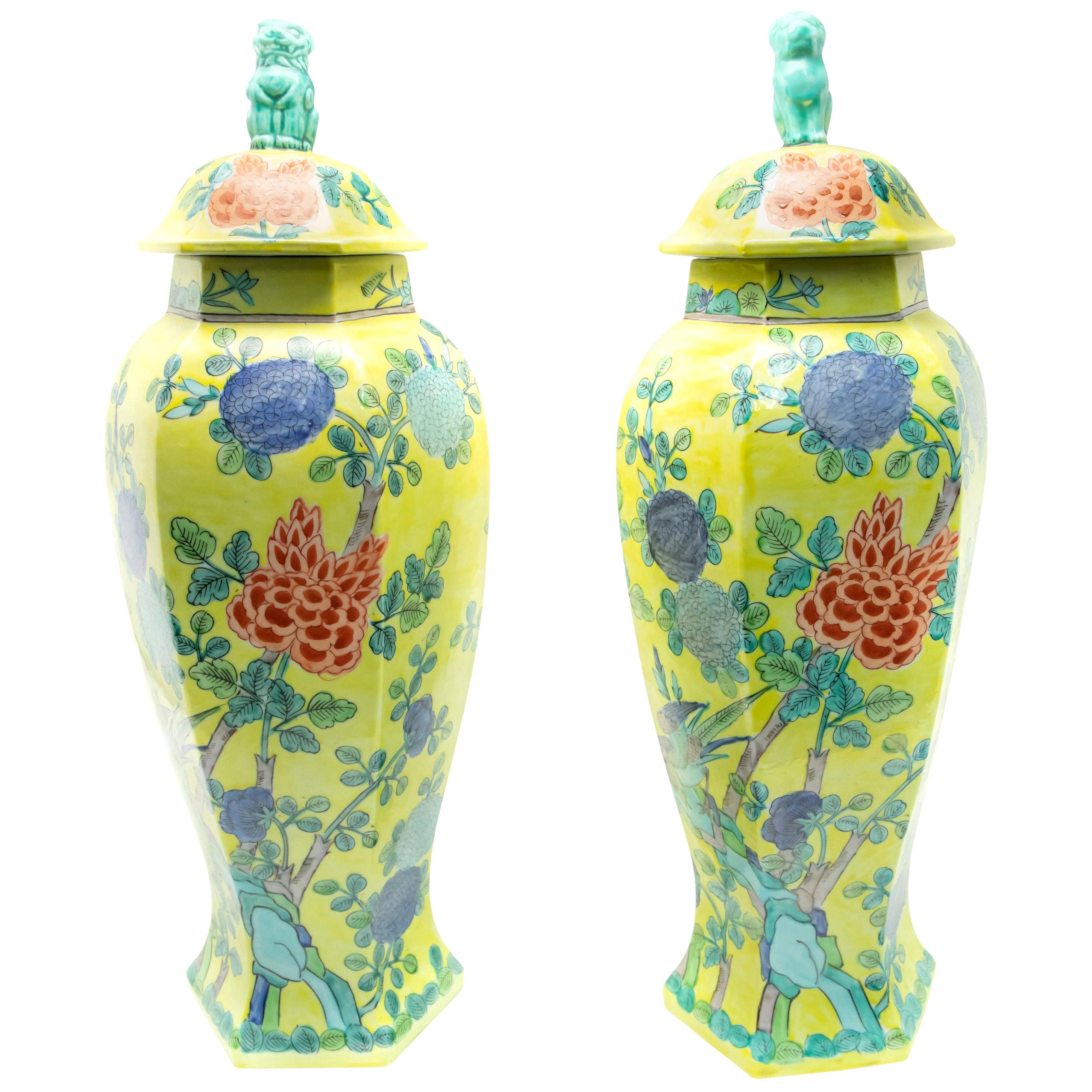 Chinese Hand Painted Ceramic Urns, Pair For Sale