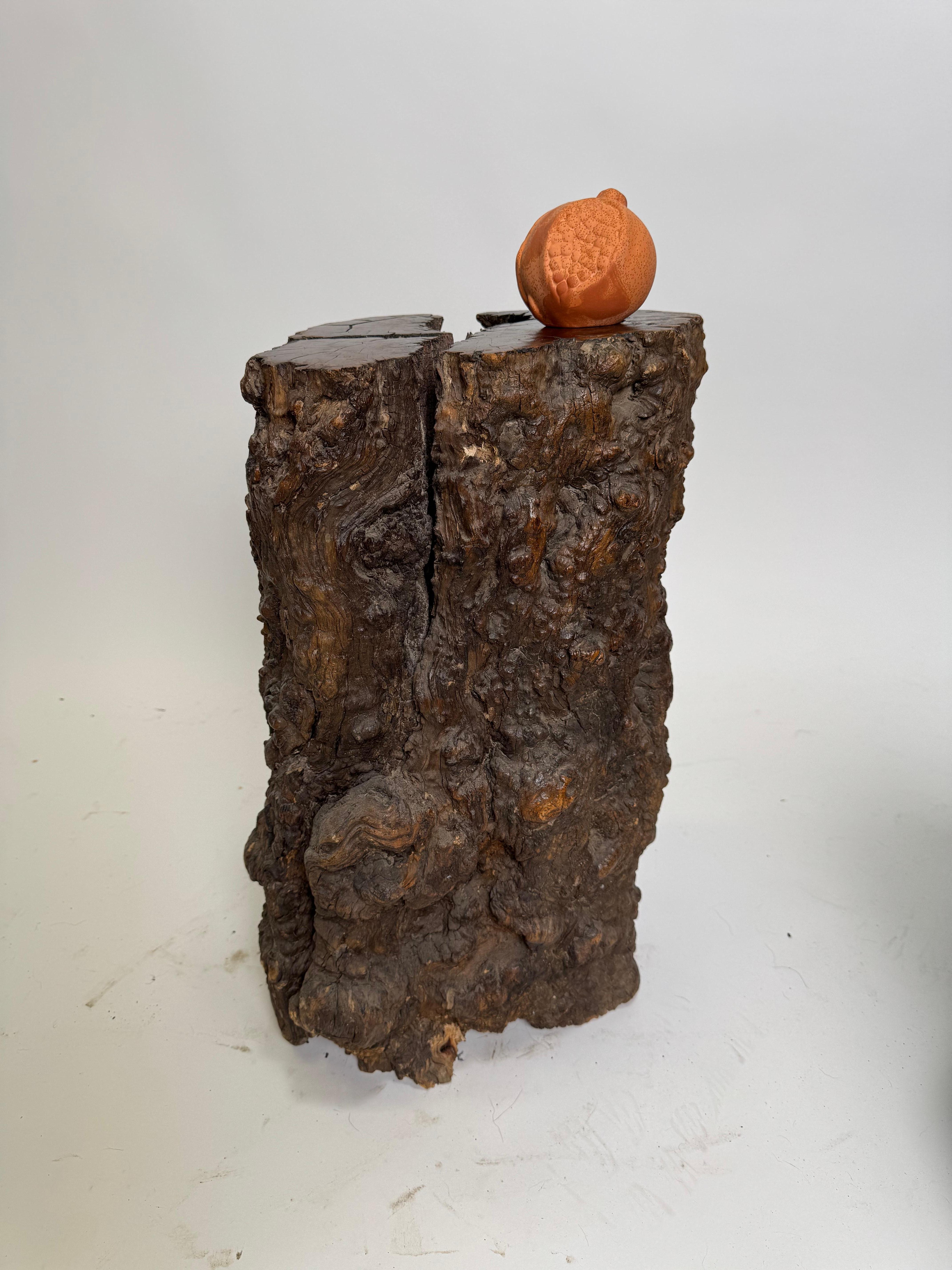 A natural piece of Chinese Ironwood cut to form a base or side table.  It is a natural form that would be ideal to place a glass top on the surface for next to a chair for for a plant stand.  