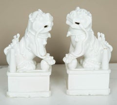 Chinese Kangxi Pair of Blanc de Chine Buddisth Lions or Foo Dogs, 17th Century