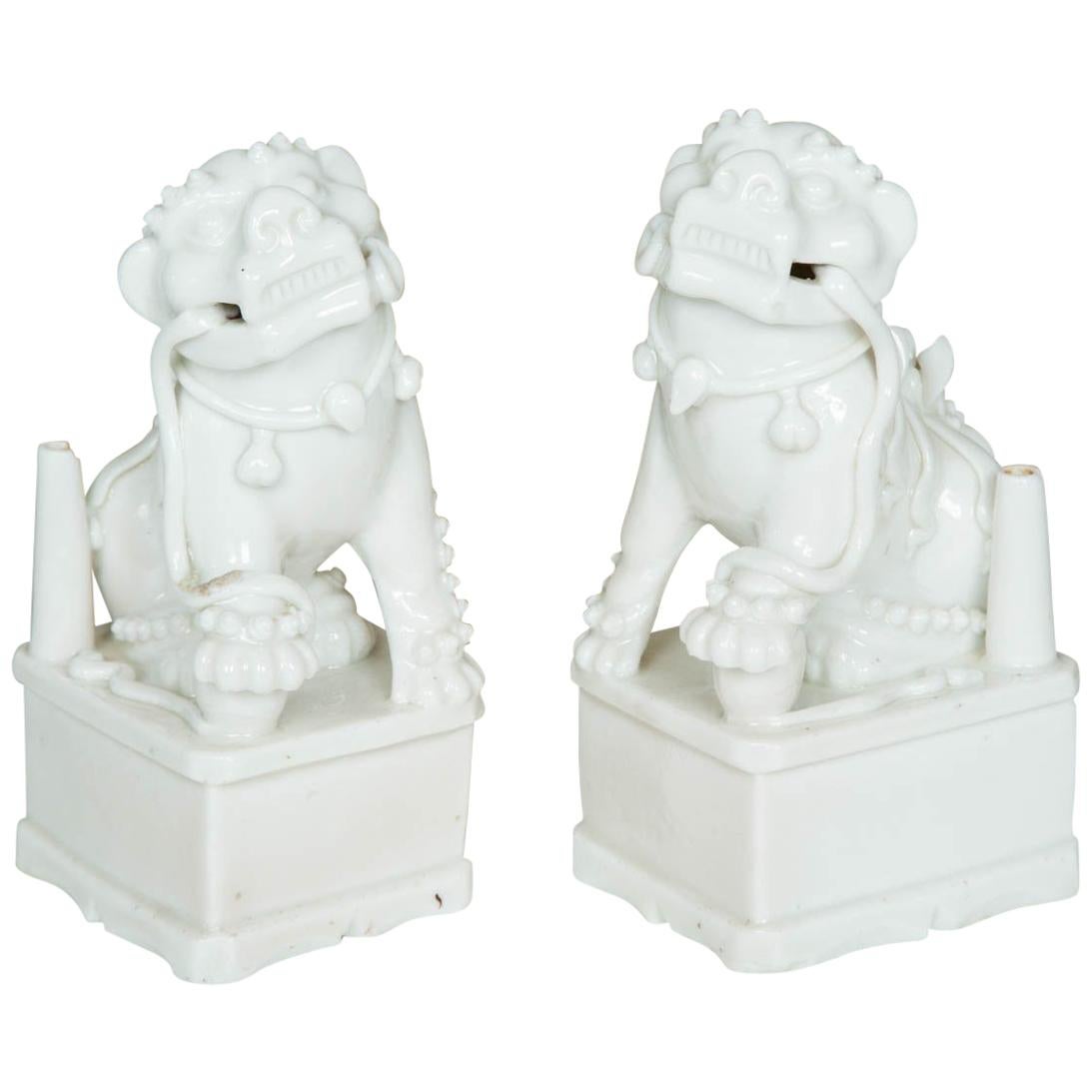 Chinese Kangxi Pair of Blanc de Chine Buddisth Lions or Foo Dogs, 17th Century