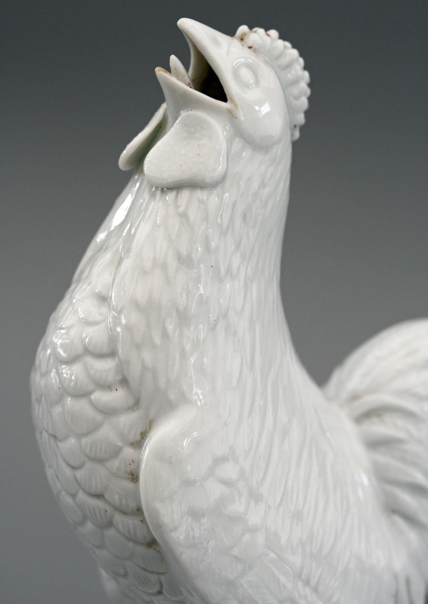 Chinese Kangxi Very Rare Blanc De Chine Porcelain Cockerel, 1662-1722 For Sale 6
