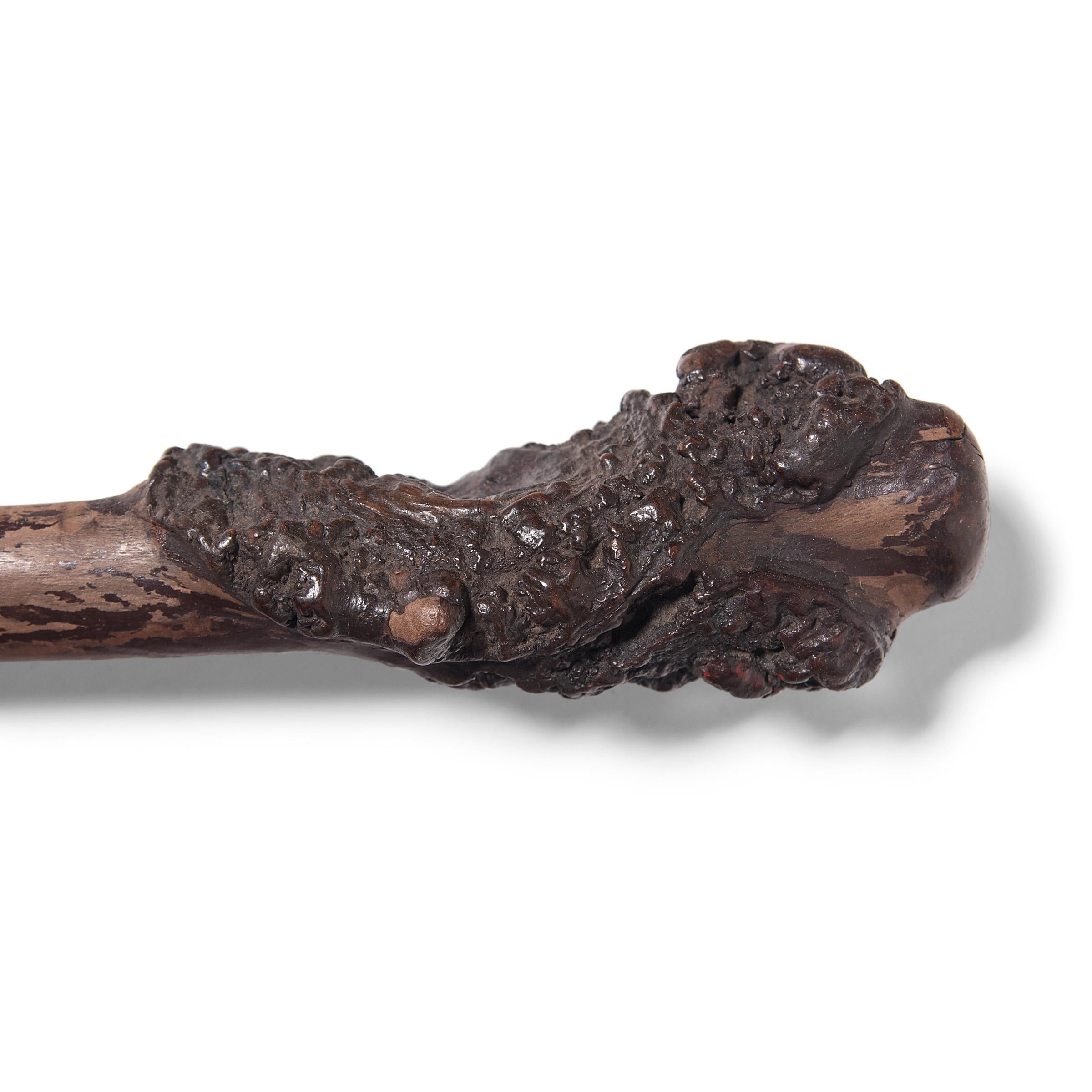 The knotted and twisted nature of root wood has long been celebrated in China, as evidenced in this fantastic late 19th-century walking stick. The wood’s unusual gnarled form was carefully preserved as it was carved into a functional walking stick -