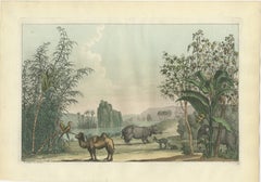 Chinese Landscape with Camel, Rhinoceros and Elephant, Antique Print, 1815
