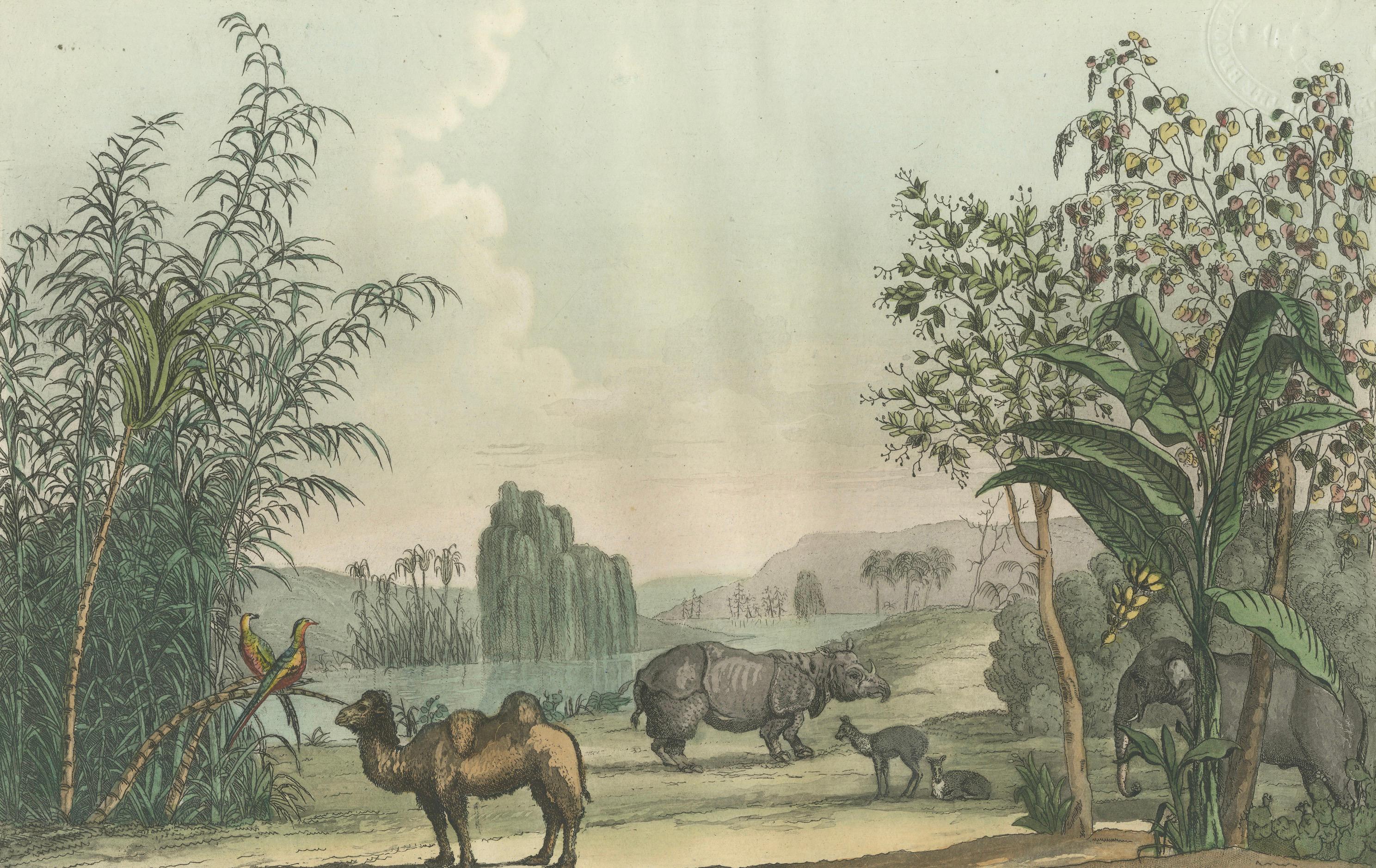Chinese Landscape with Camel, Rhinoceros and Elephant, Antique Print, 1815