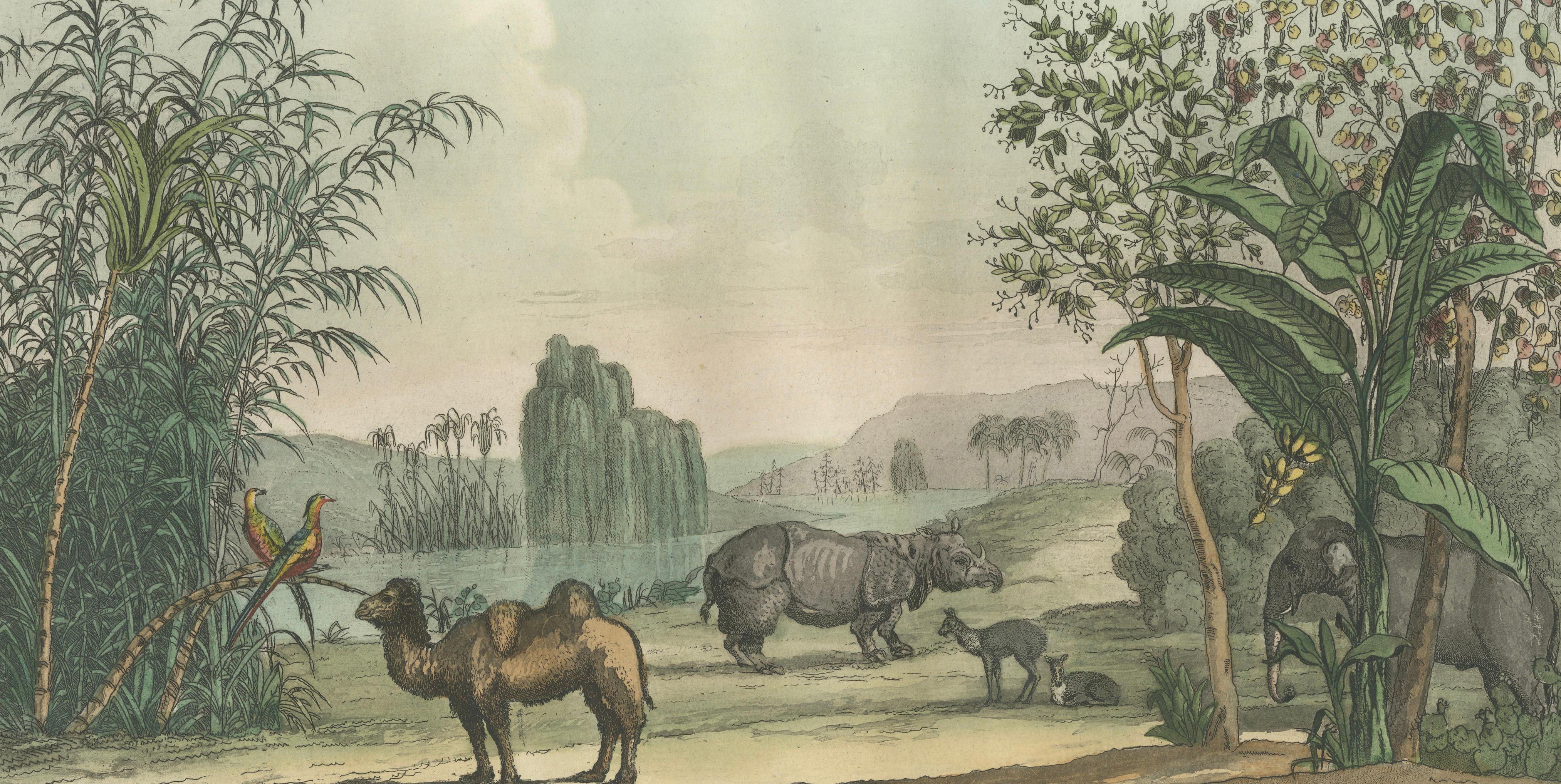 Chinese Landscape with Camel, Rhinoceros and Elephant, Antique Print, 1815