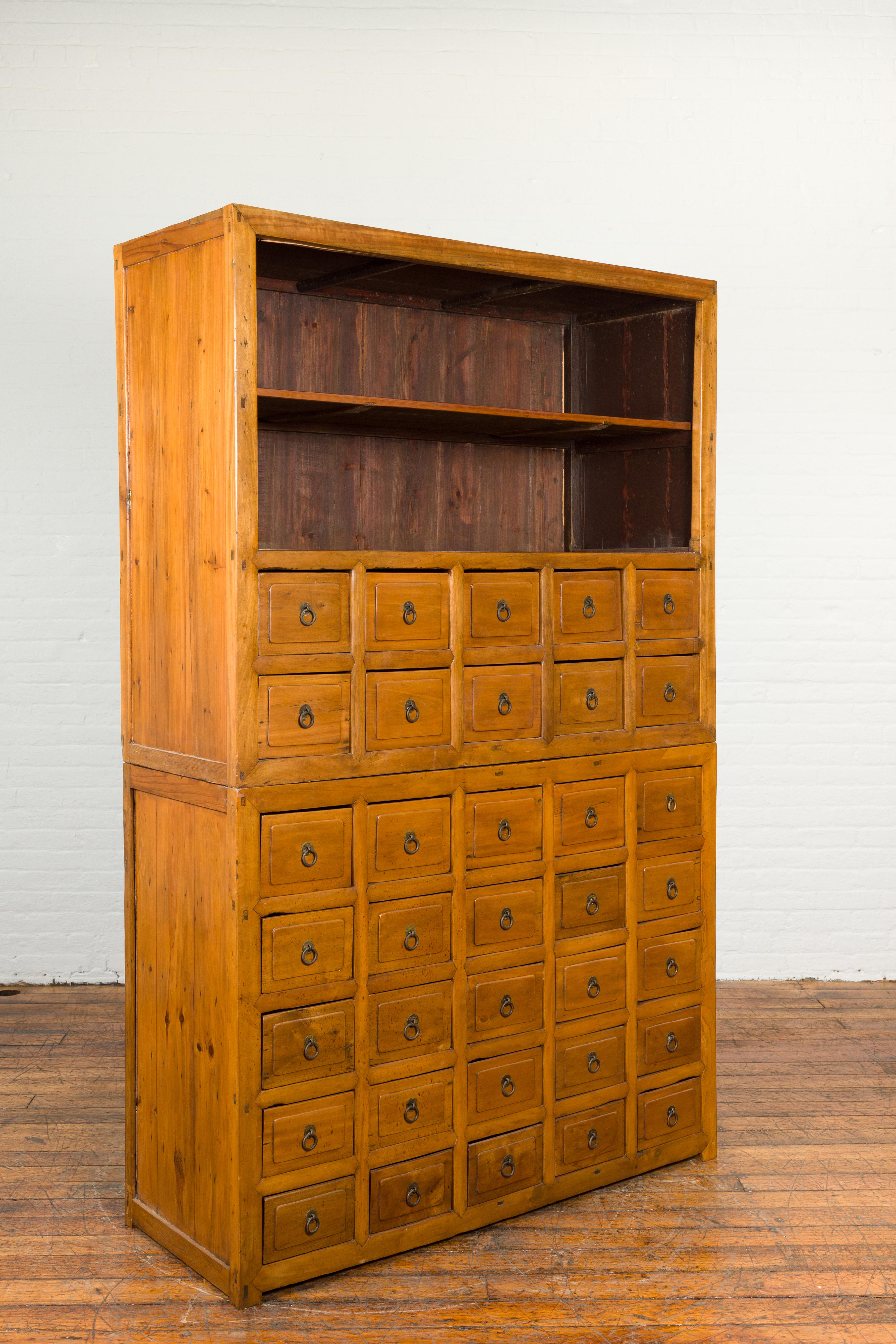 Chinese Late 19th Century Nam Wood Apothecary Cabinet with Multiple Drawers For Sale 4