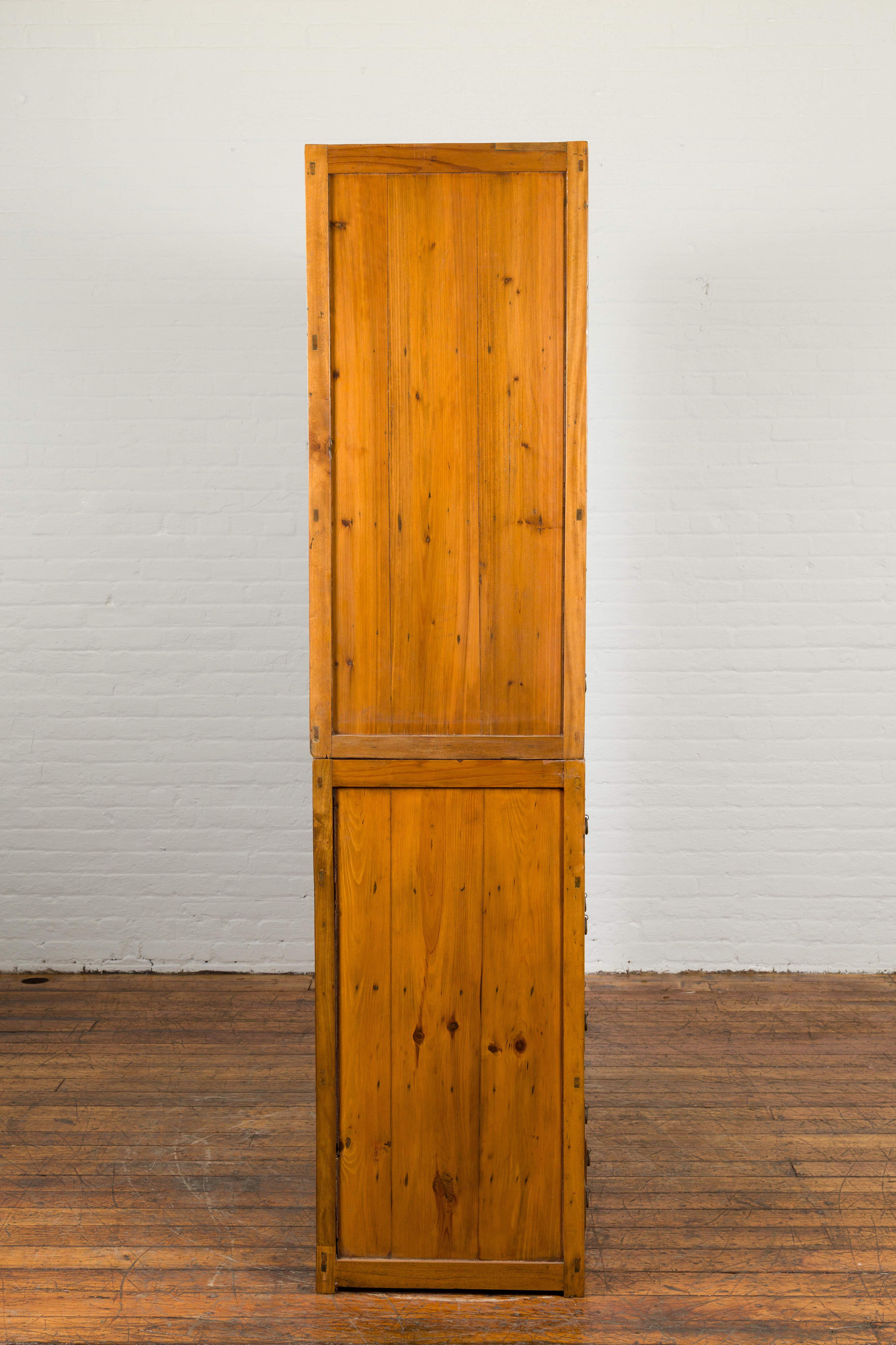 Chinese Late 19th Century Nam Wood Apothecary Cabinet with Multiple Drawers For Sale 5