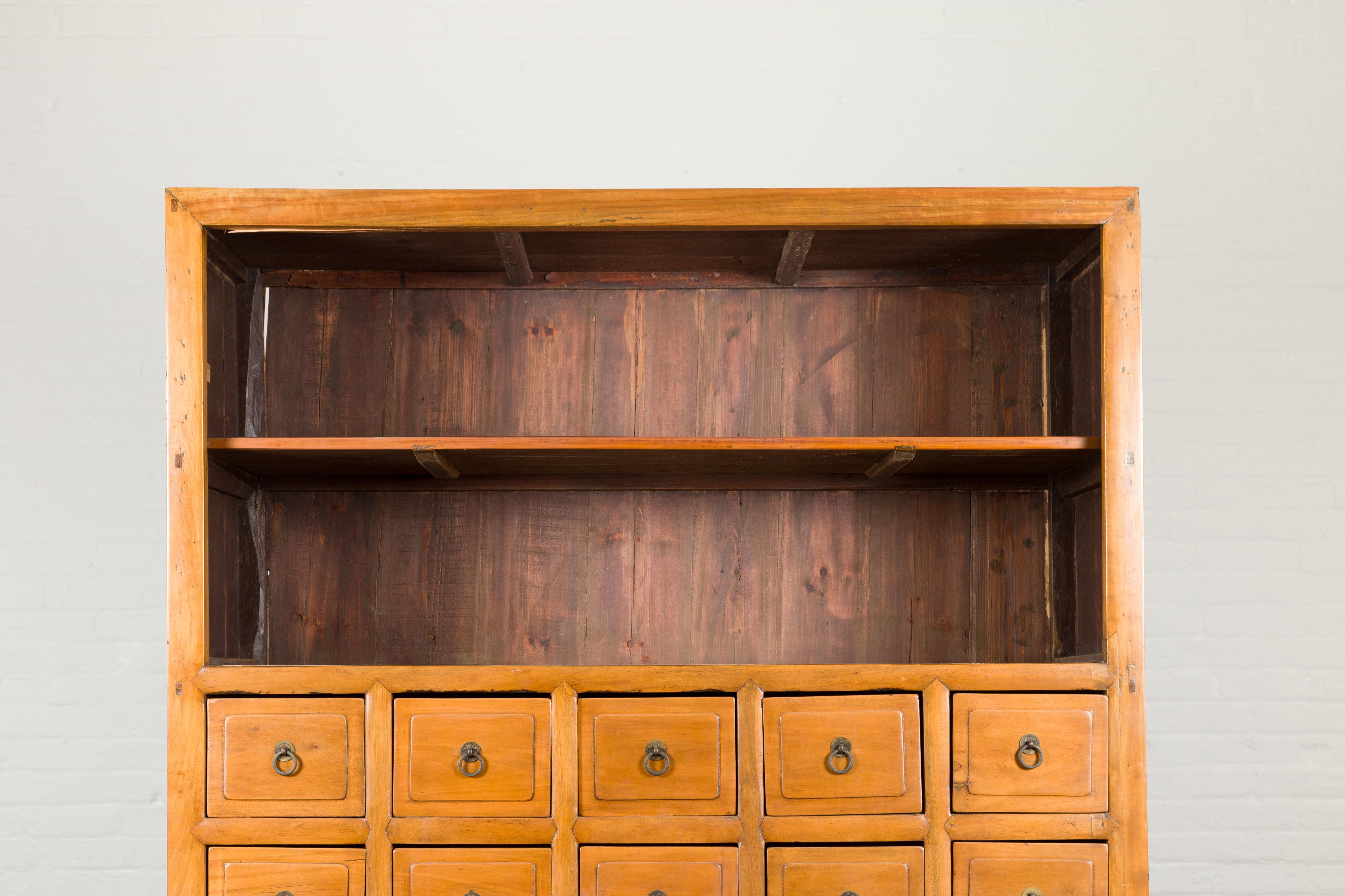 Qing Chinese Late 19th Century Nam Wood Apothecary Cabinet with Multiple Drawers For Sale