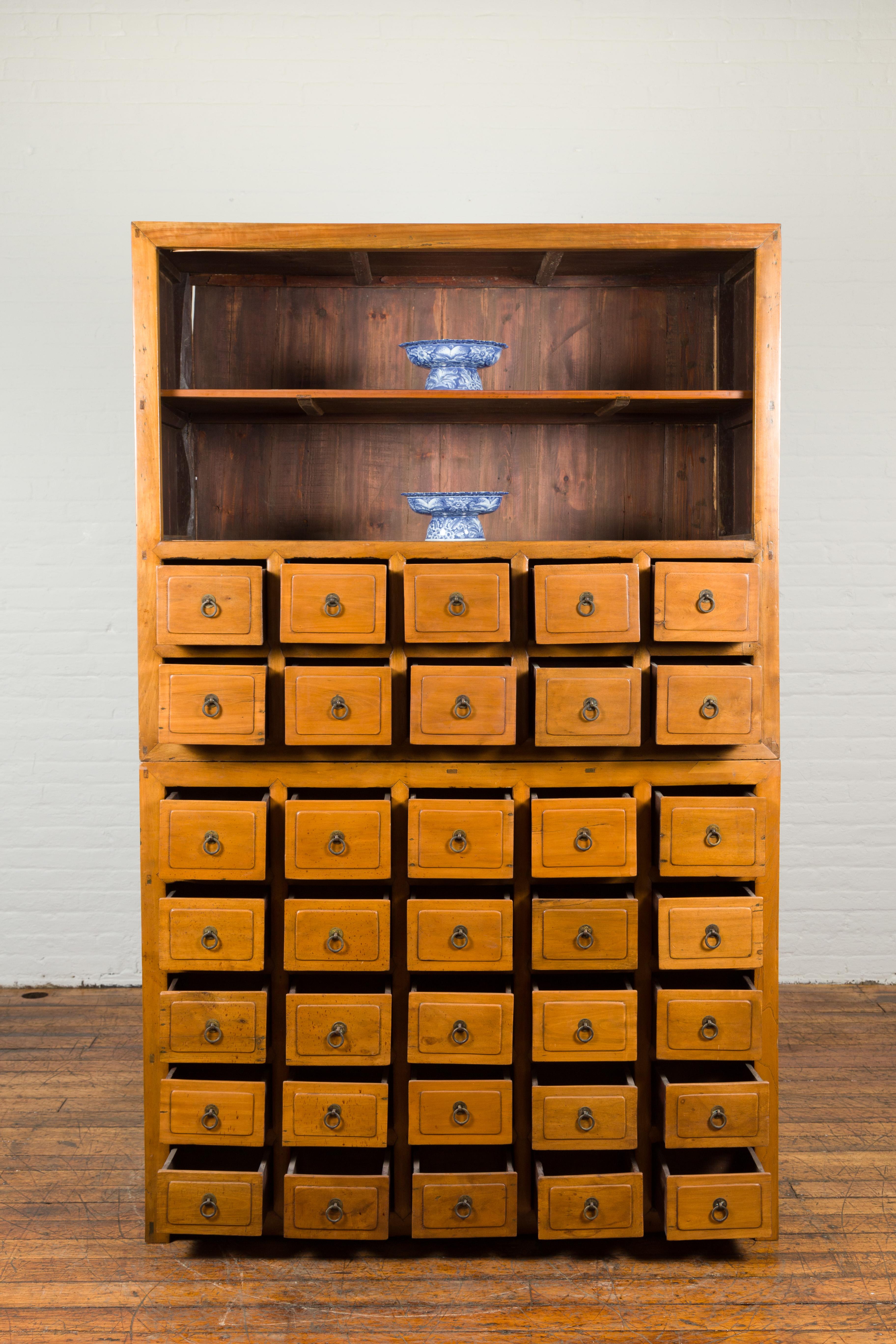 Chinese Late 19th Century Nam Wood Apothecary Cabinet with Multiple Drawers For Sale 2