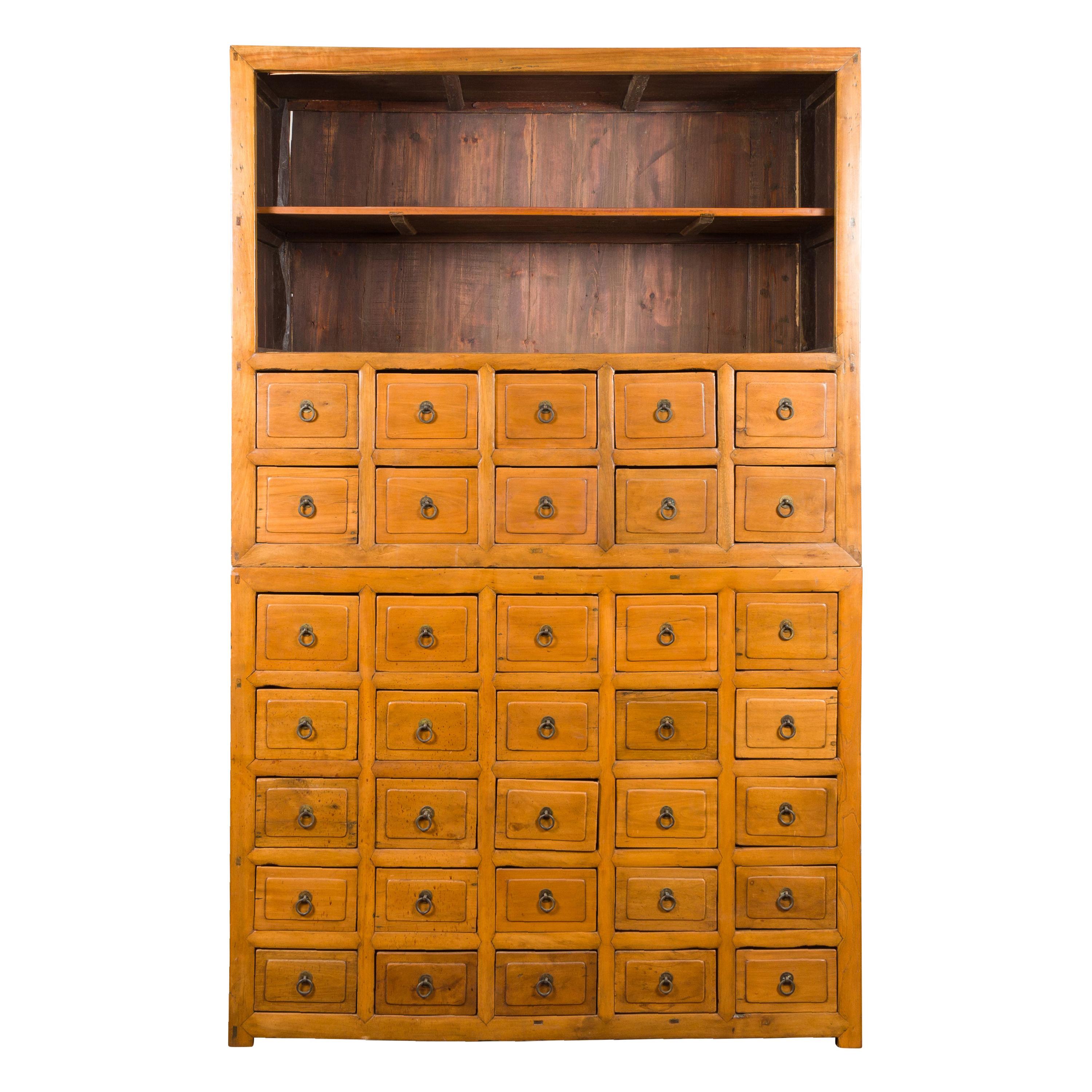 Chinese Late 19th Century Nam Wood Apothecary Cabinet with Multiple Drawers