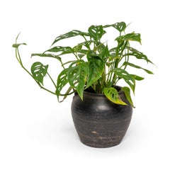 Chinese Lobed Pantry Vessel, c. 1900