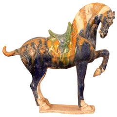 Sculpture de cheval cabré tricolore en terre cuite émaillée de style Ming chinois sur socle