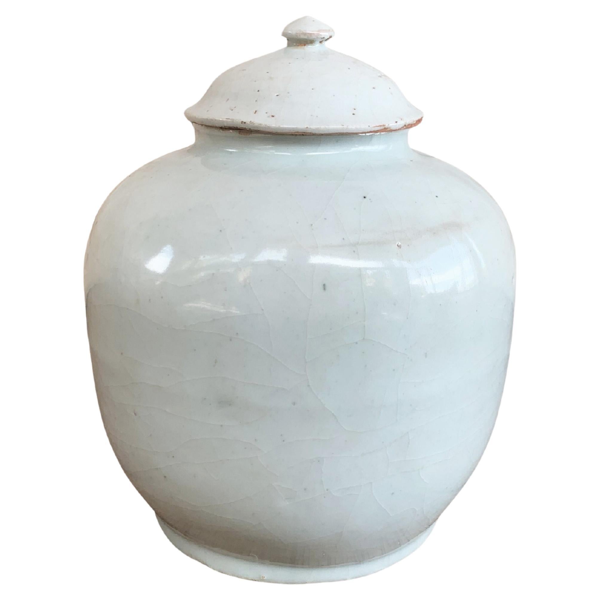 Chinese Off-White Ceramic Ginger Jar 