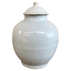 Chinese Off-White Ceramic Ginger Jar