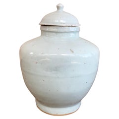 Vintage Chinese Off-White Ceramic Ginger Jar