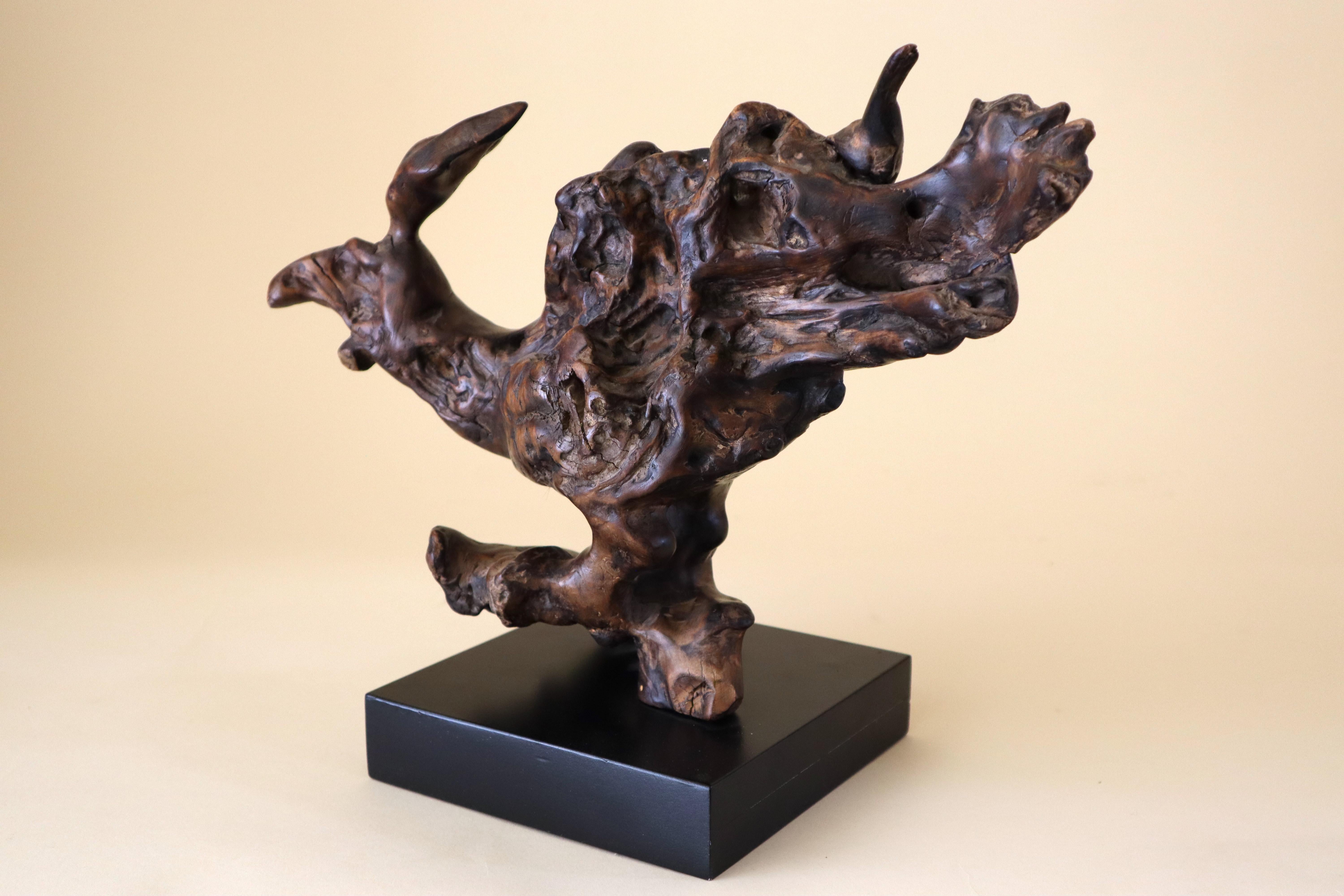 Store closing March 31. Last chance clearance sale.  Natural burl wood scholar's object in form of a lively, animated phoenix, called Fenghuang in China and Hou-ou (Ho-o) in Japan. Age not known, probably from the early 20th century, could be