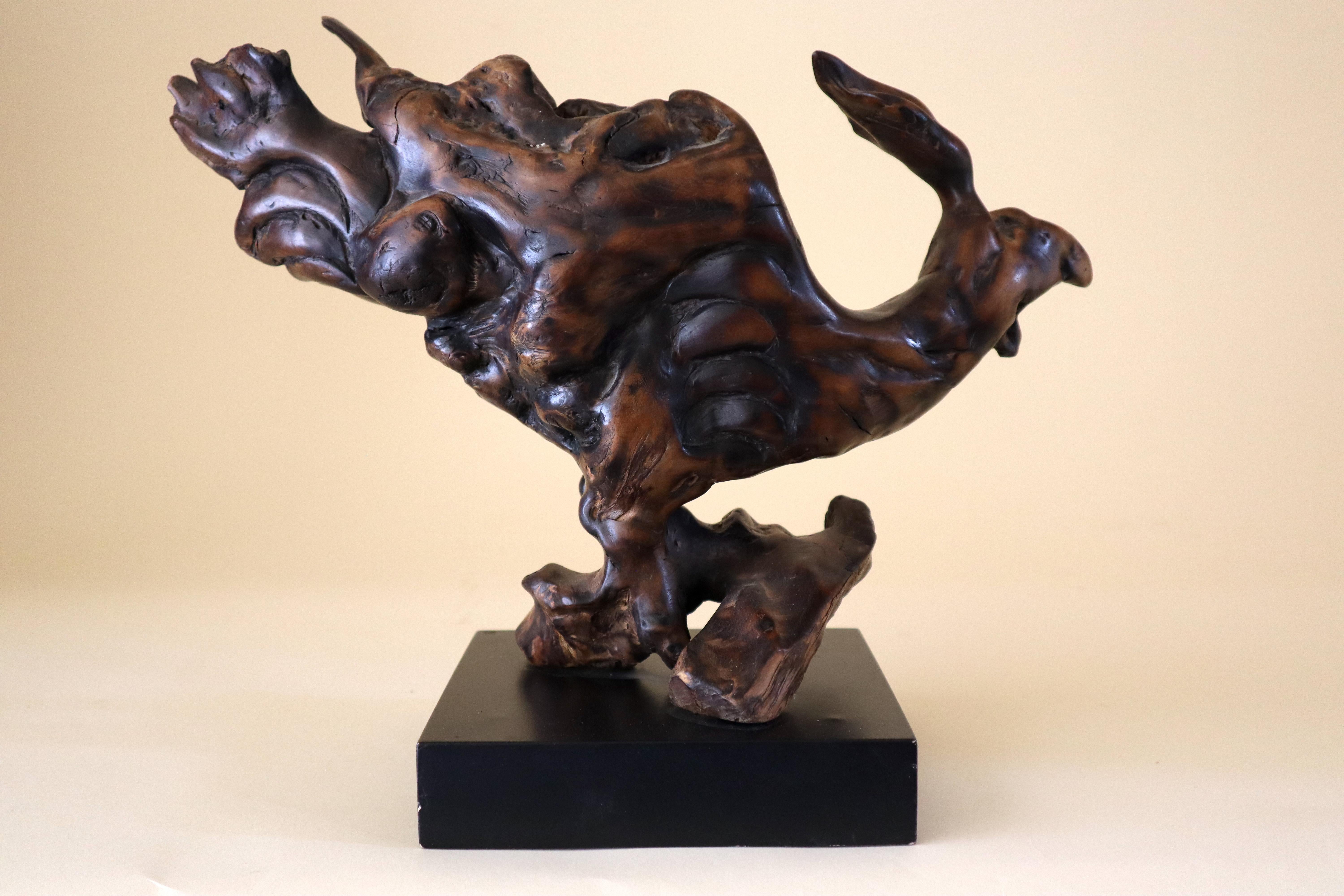 Organic Modern Store closing March 31.  Chinese or Japanese Burl Wood Phoenix for Scholar  For Sale