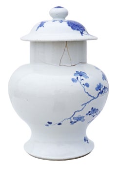 Chinese Oriental blue & white ceramic ginger jar with lid
