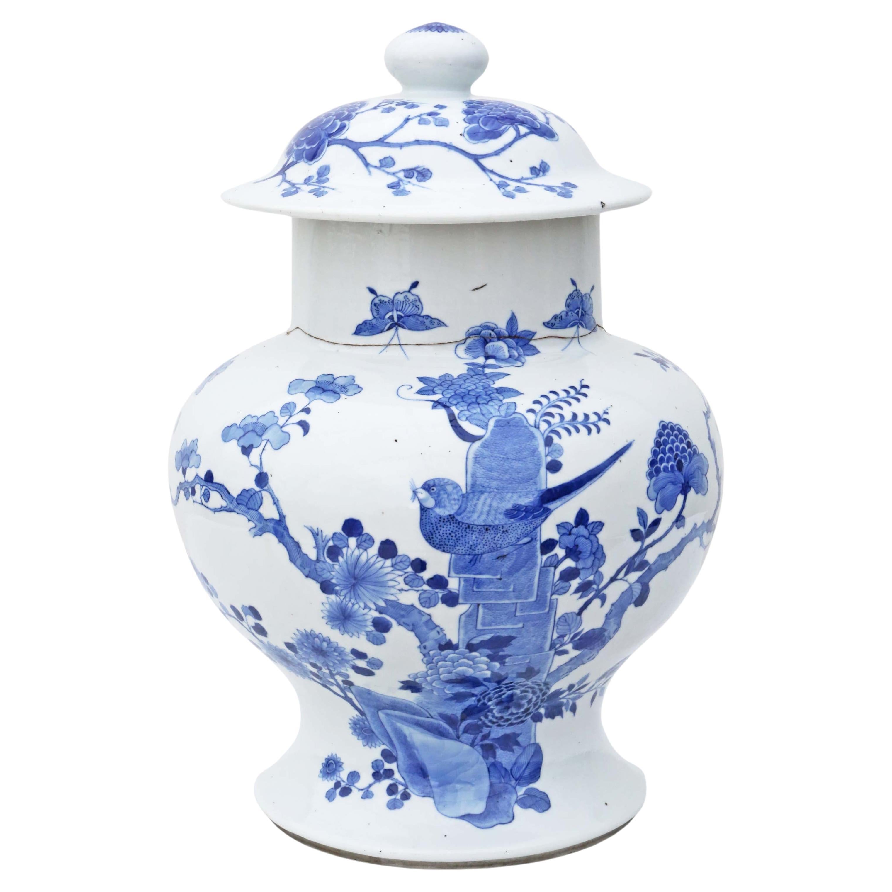 Chinese Oriental blue & white ceramic ginger jar with lid For Sale