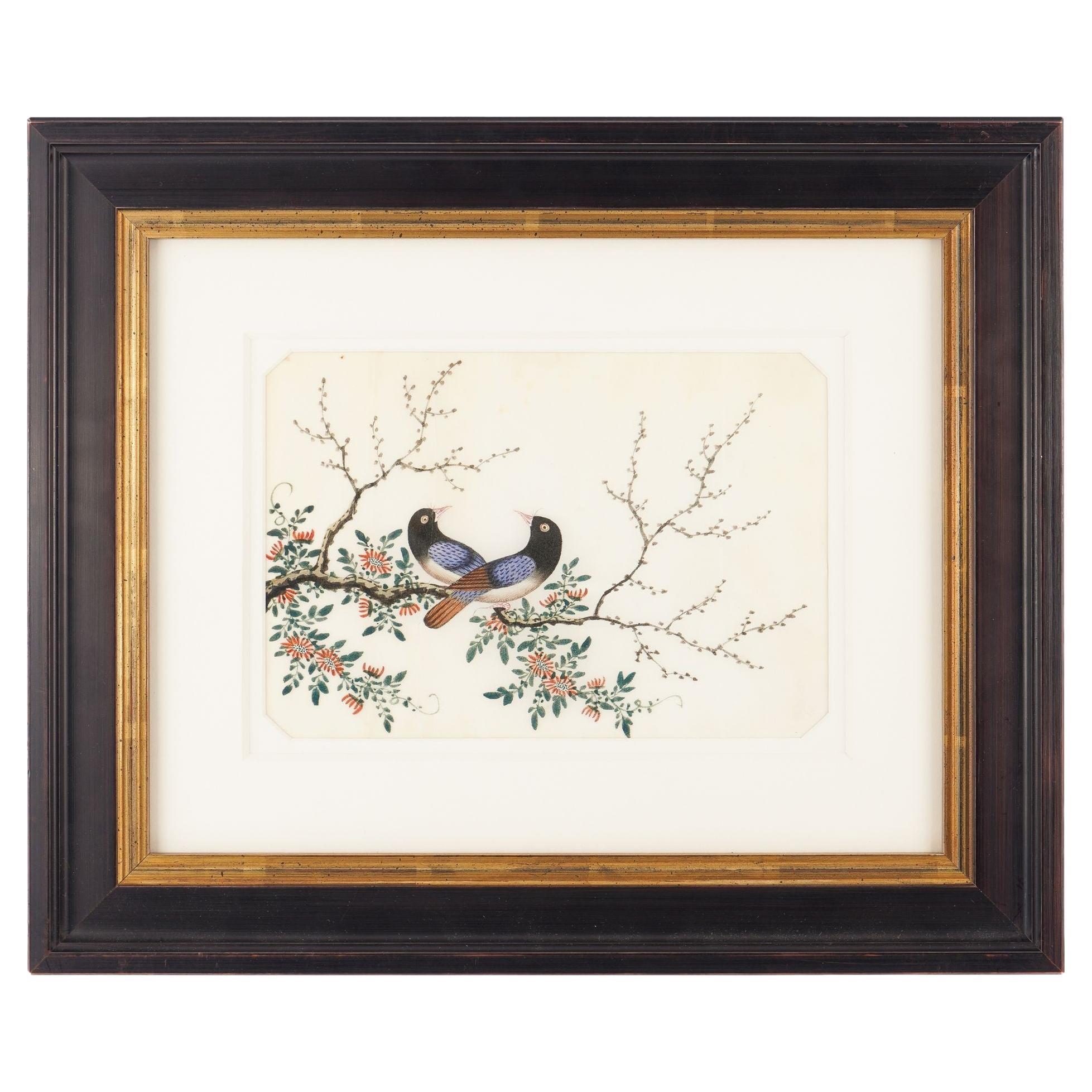 Chinesisches ornithologisches Gemälde auf Reispapier, um 1830
