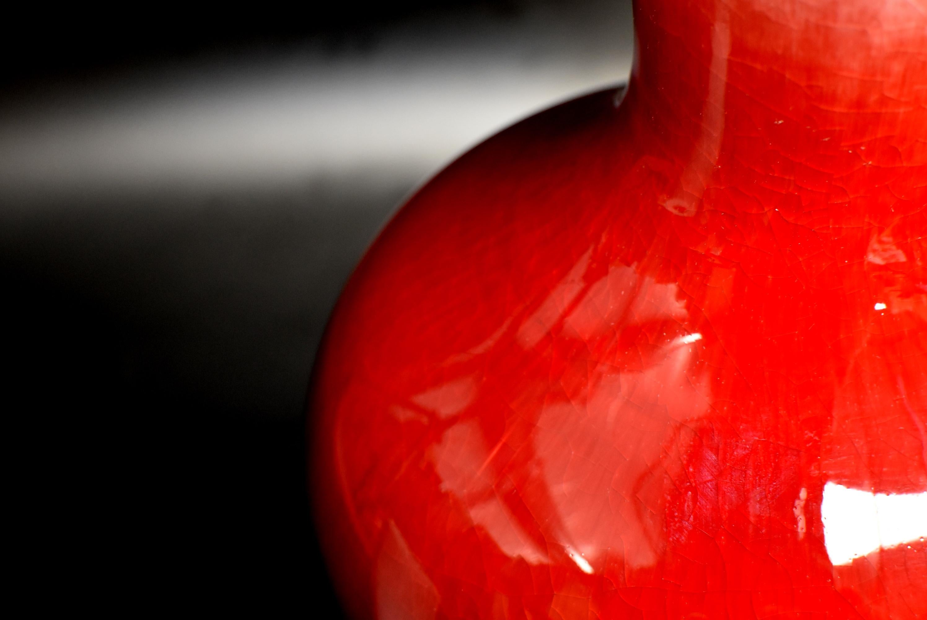 Chinese Oxblood Red Porcelain Vase, Sang De Boeuf 10