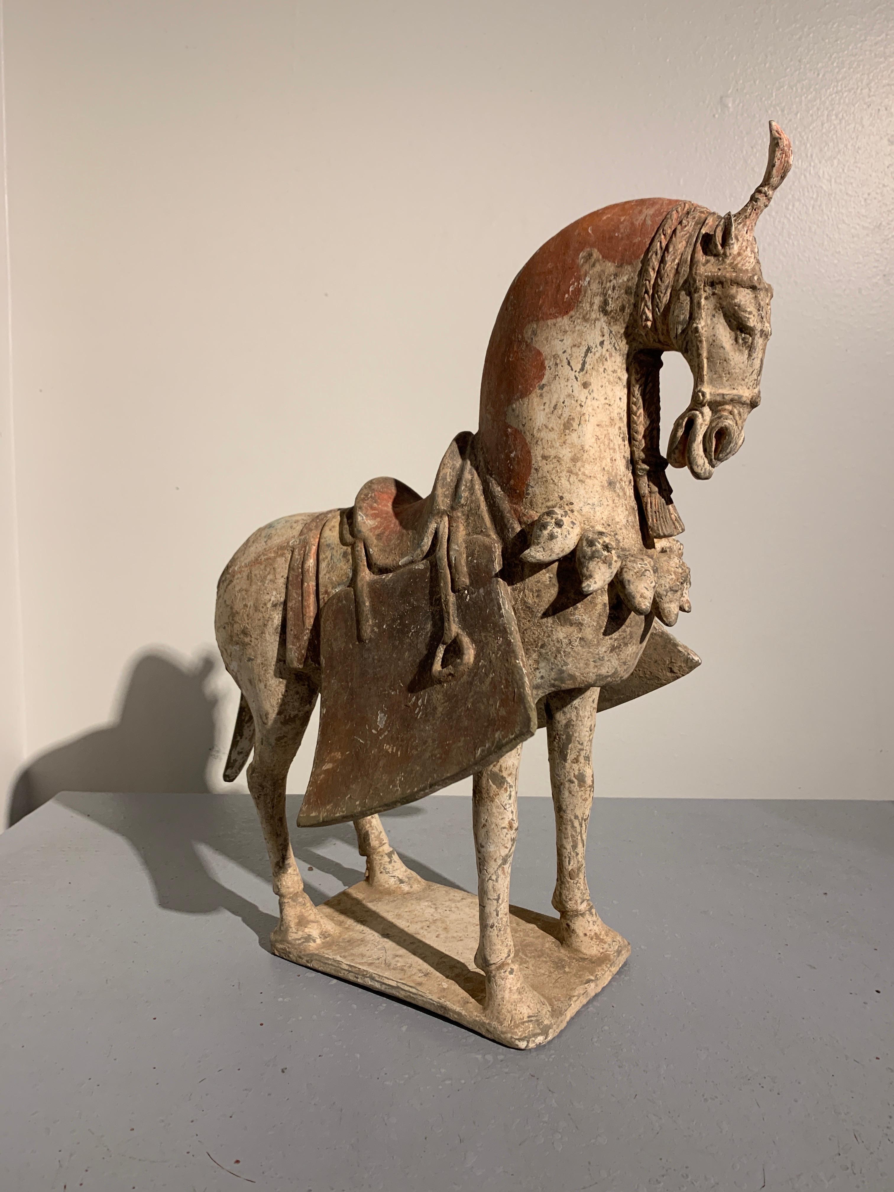 Chinese Painted Pottery Caparisoned Horse, Northern Wei Dynasty '386-534' In Good Condition In Austin, TX