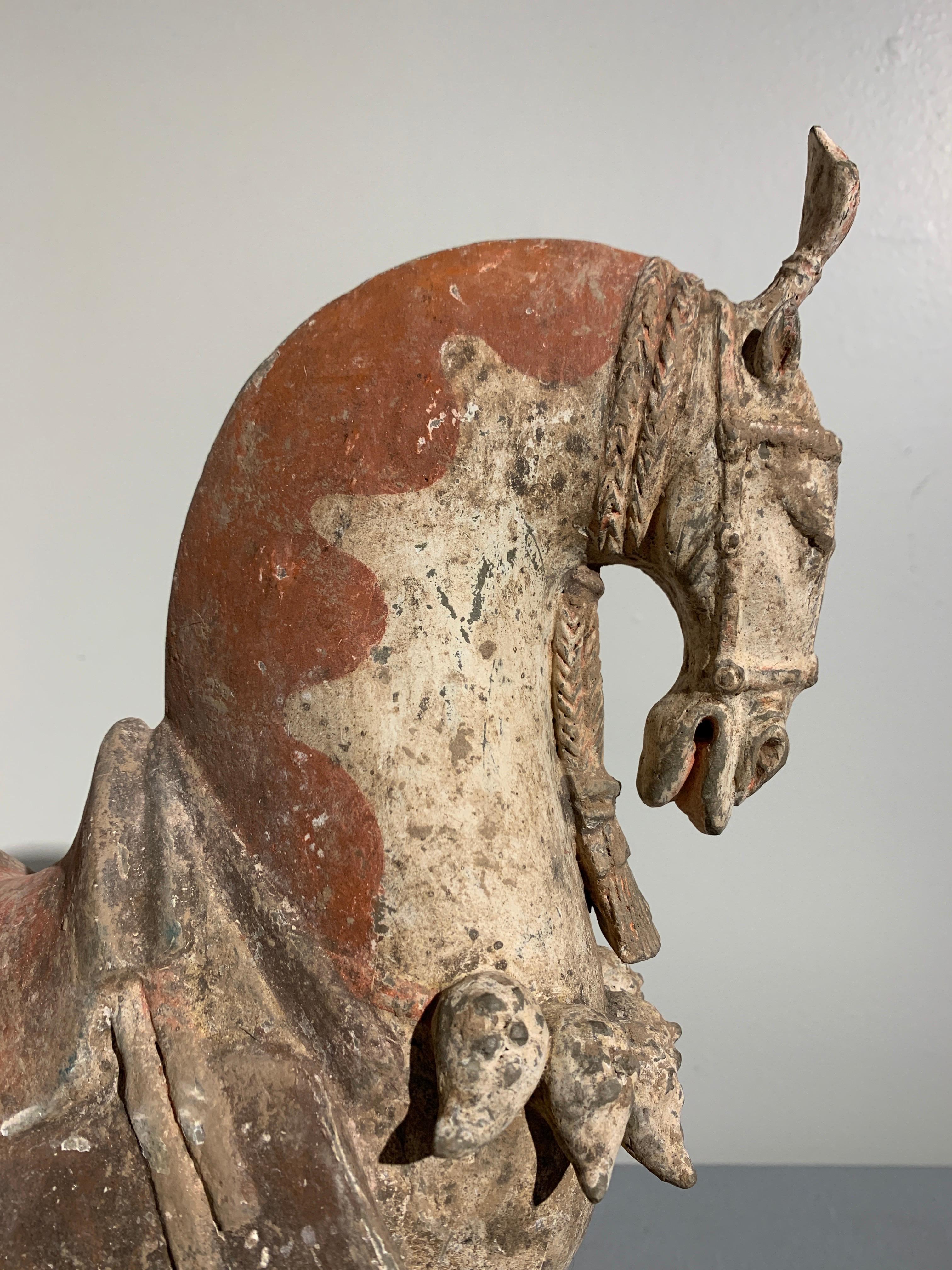 18th Century and Earlier Chinese Painted Pottery Caparisoned Horse, Northern Wei Dynasty '386-534'