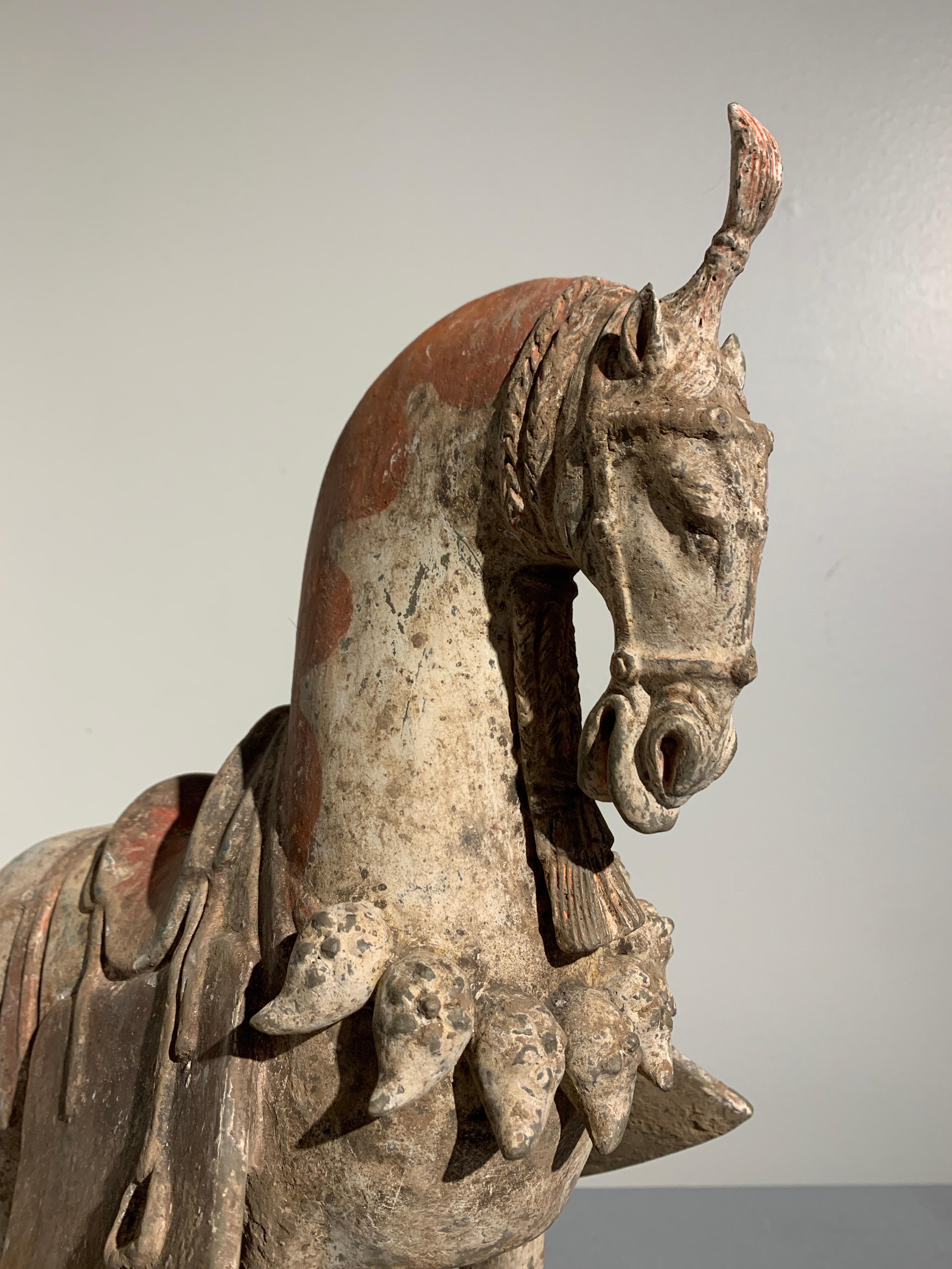 Terracotta Chinese Painted Pottery Caparisoned Horse, Northern Wei Dynasty '386-534'