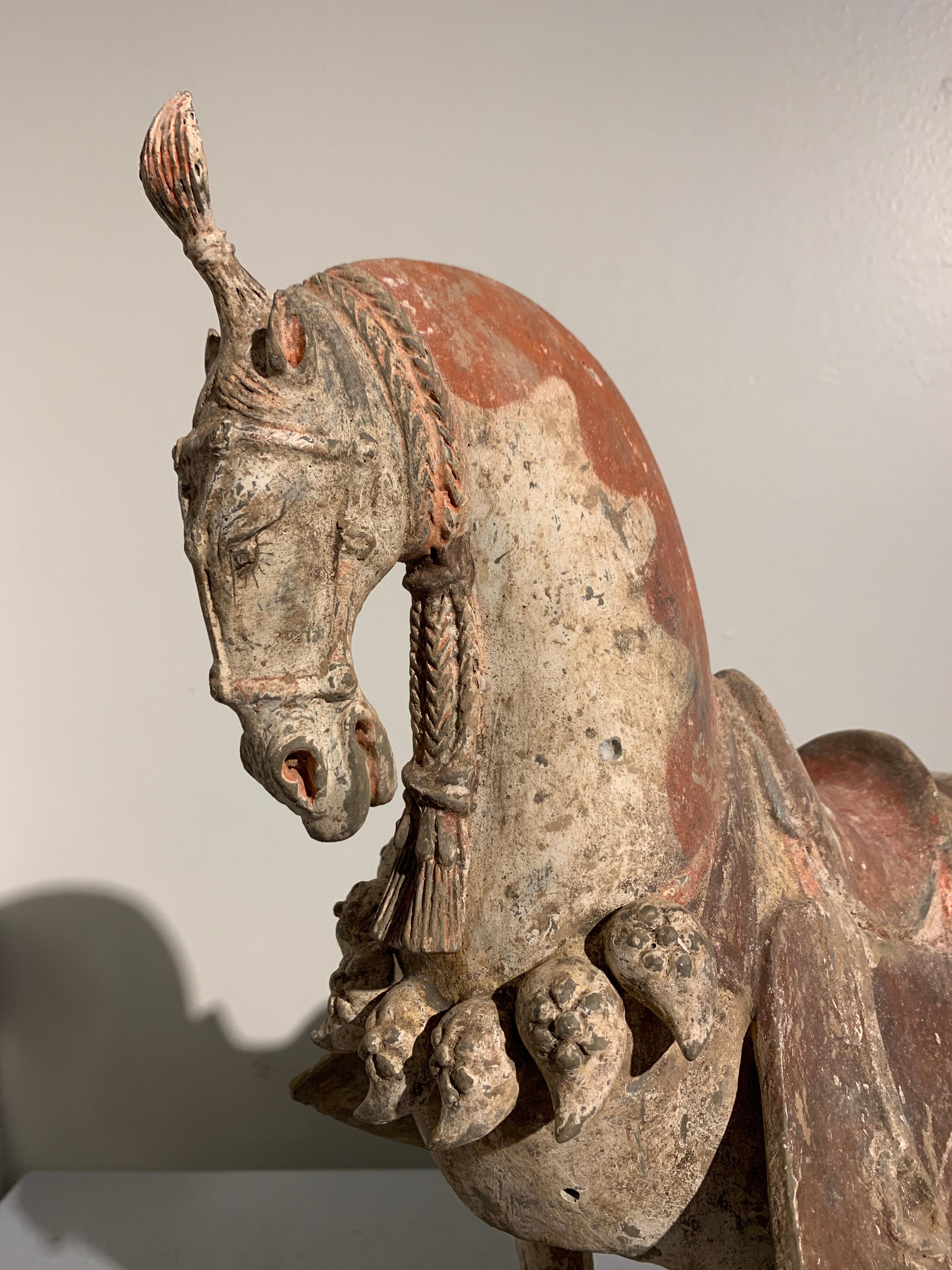 Chinese Painted Pottery Caparisoned Horse, Northern Wei Dynasty '386-534' 1