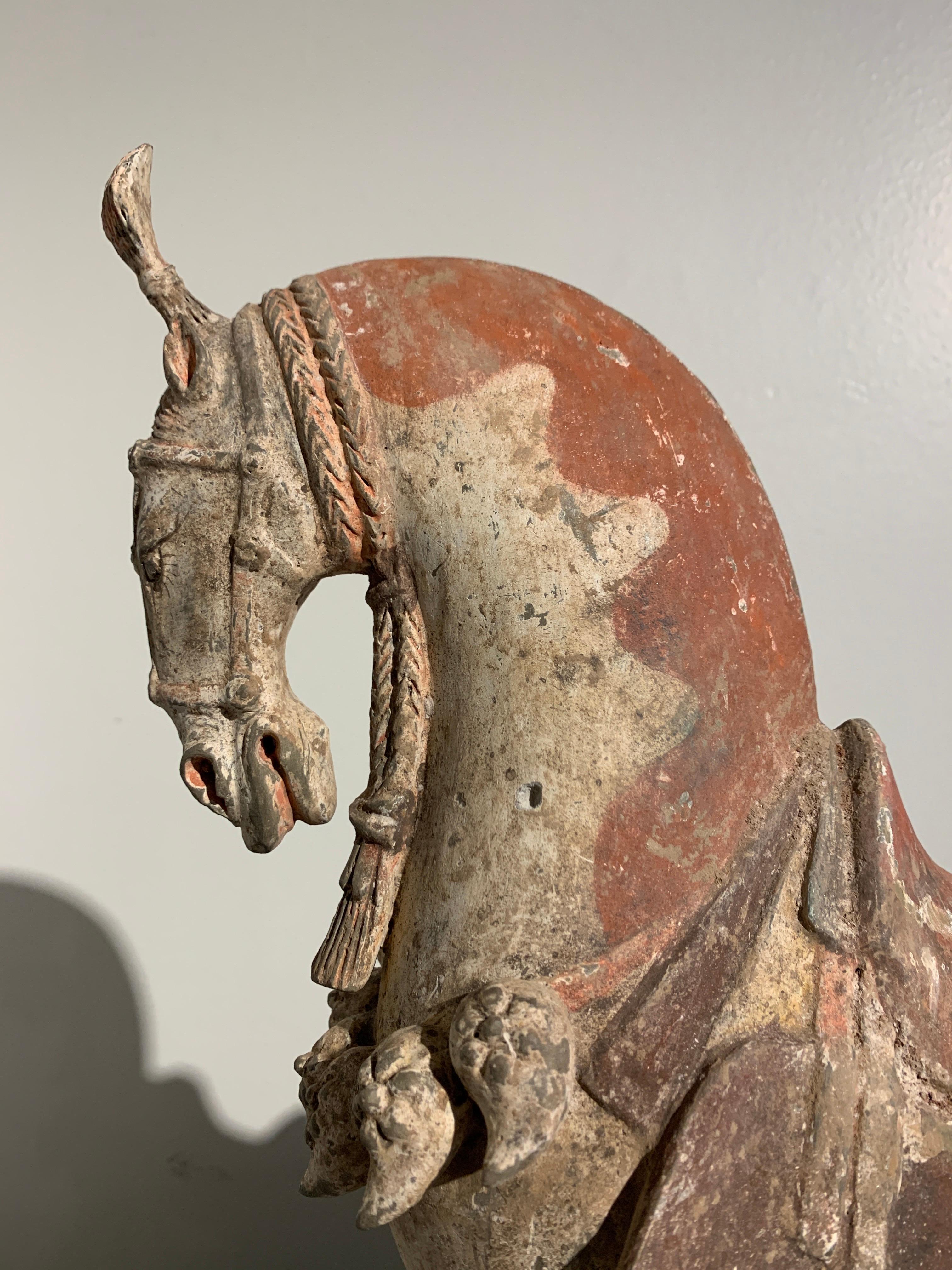 Chinese Painted Pottery Caparisoned Horse, Northern Wei Dynasty '386-534' 2